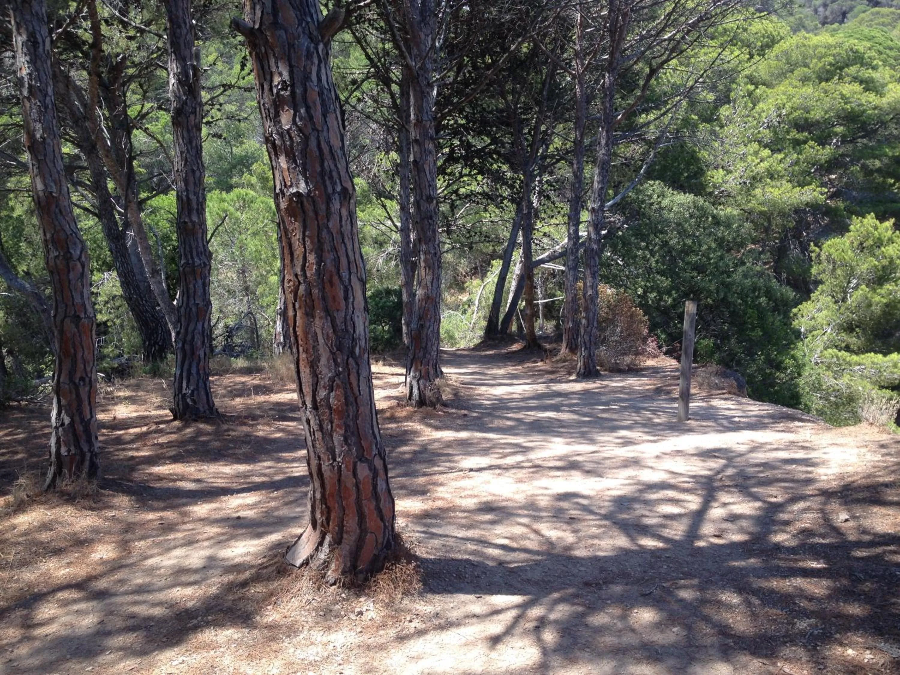 Off site in Villa Reymar - diseño y vistas al mar