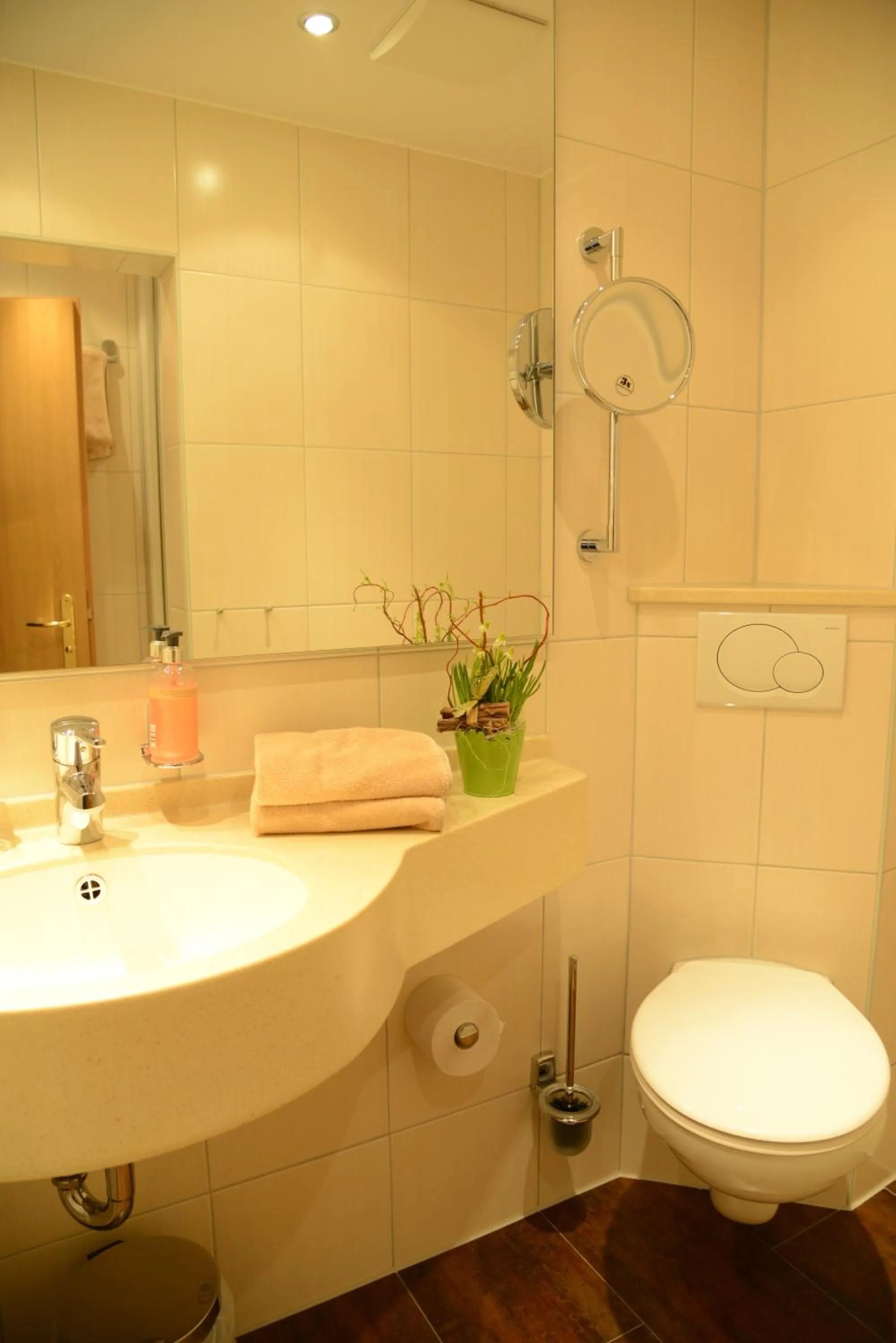 Toilet in Weinhaus Gräfen