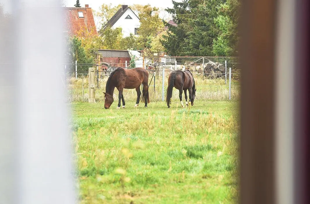 PRIMA Inn HOTEL & HOF NEURUPPIN - digitales & rezeptionsloses Motel