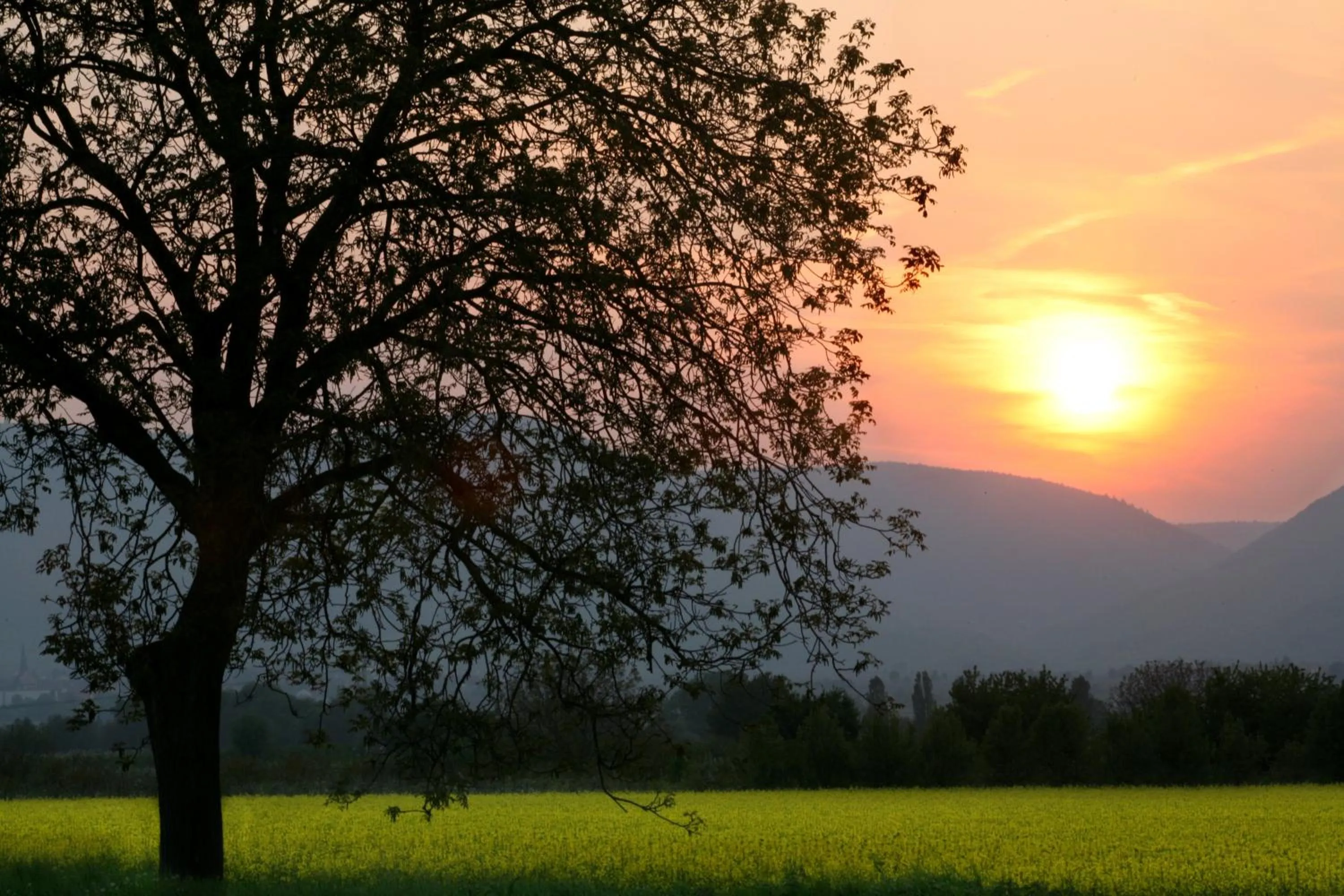 Sunset in Hotel Central
