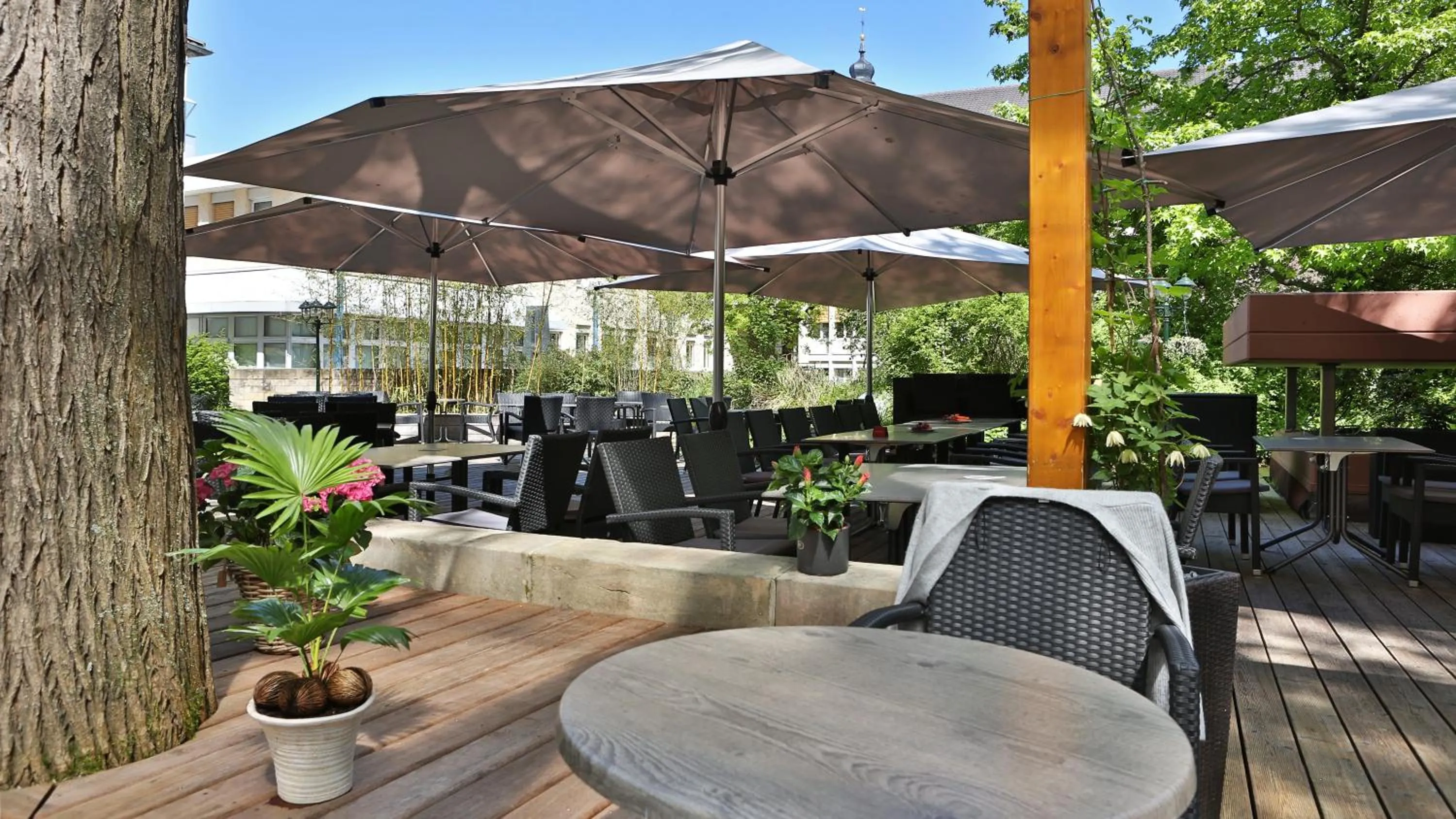 Garden in Hotel Central