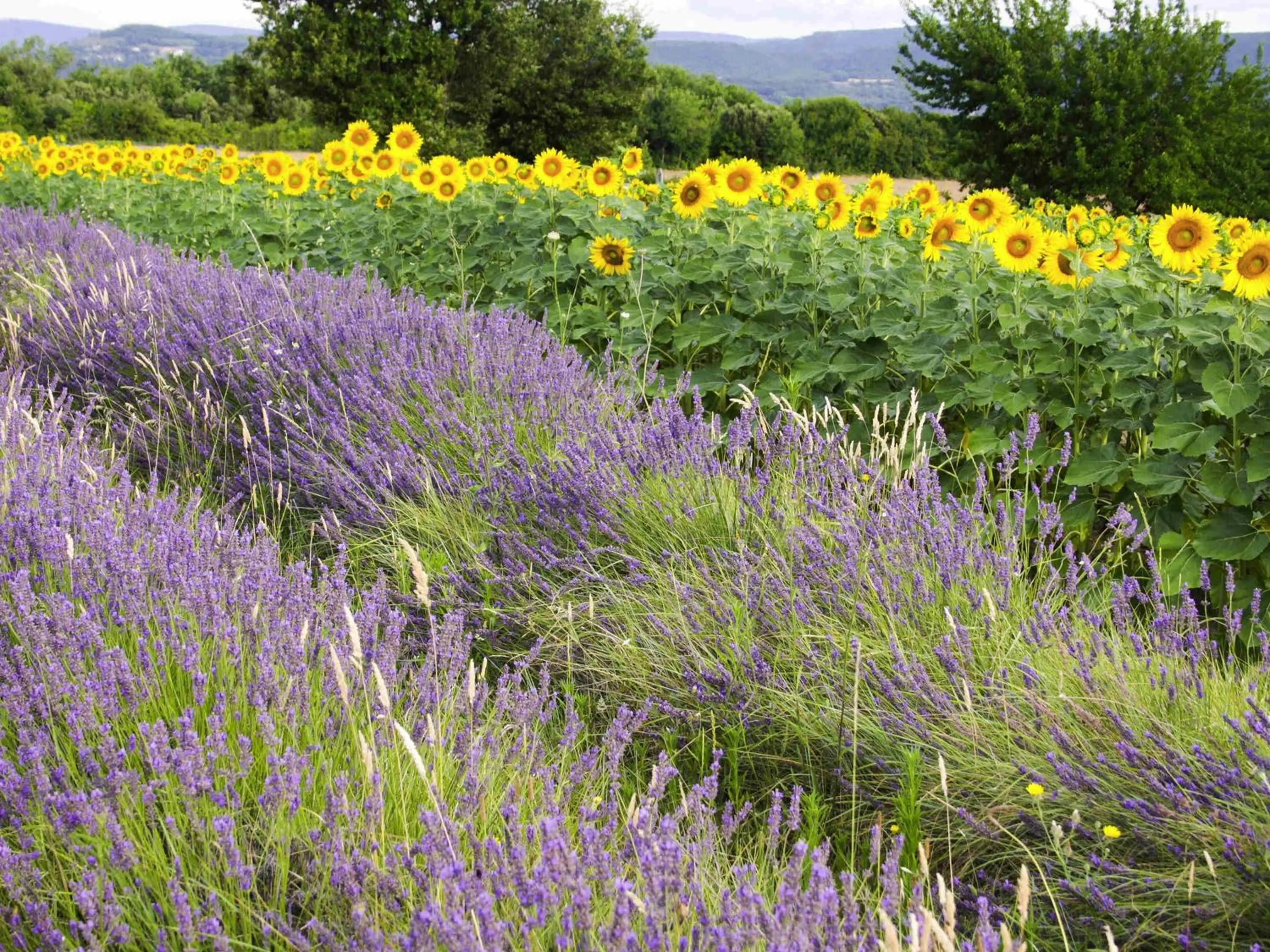Bedroom in ibis Montélimar Nord