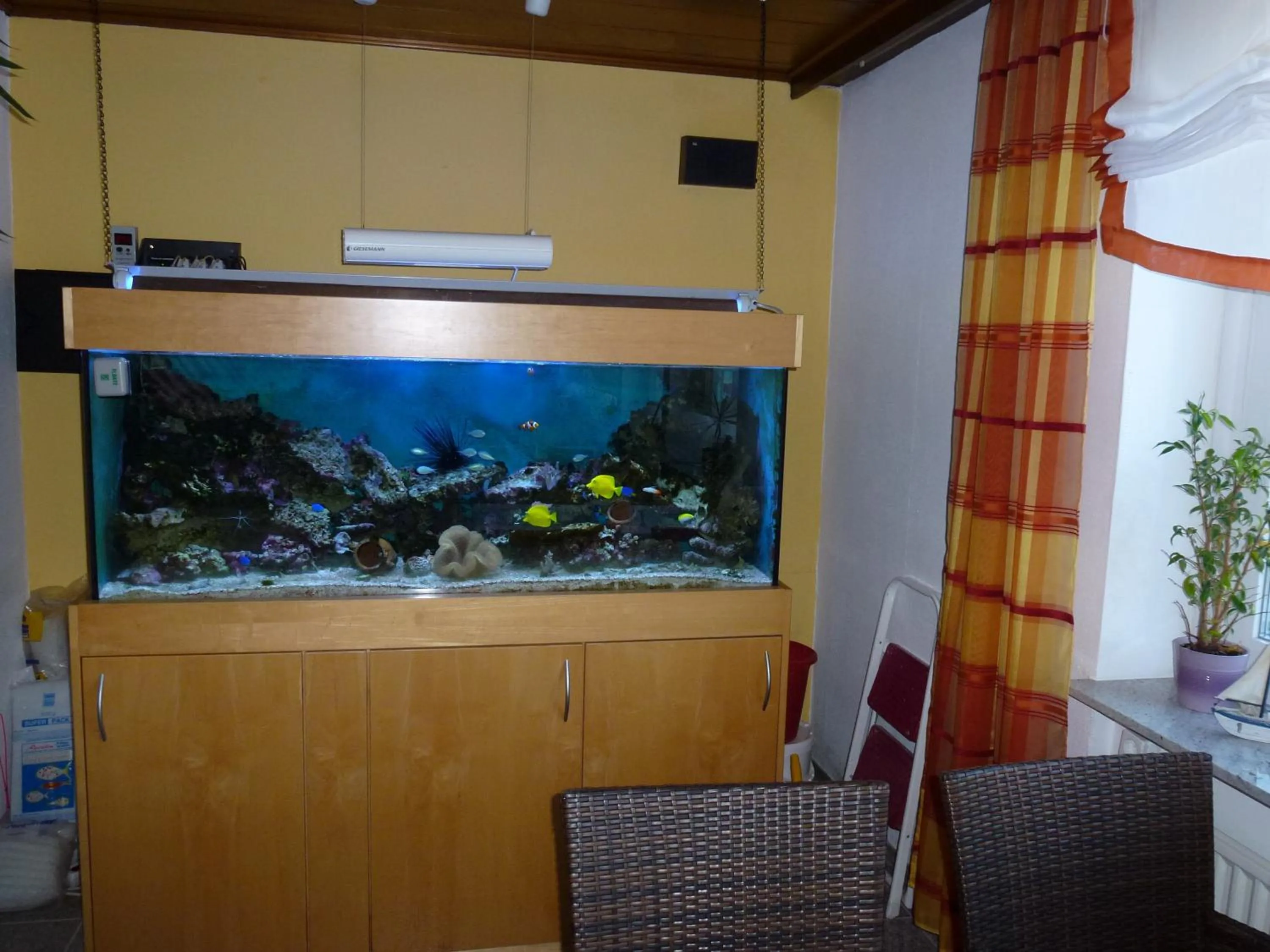 Animals in Hotel Wildunger Hof mit Gemeinschaftsküche