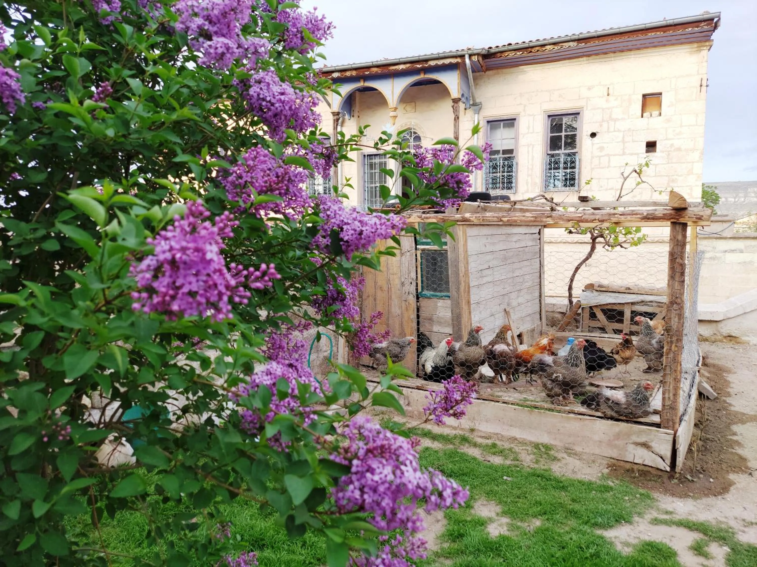 Garden in ARMEsos Cave Hotel