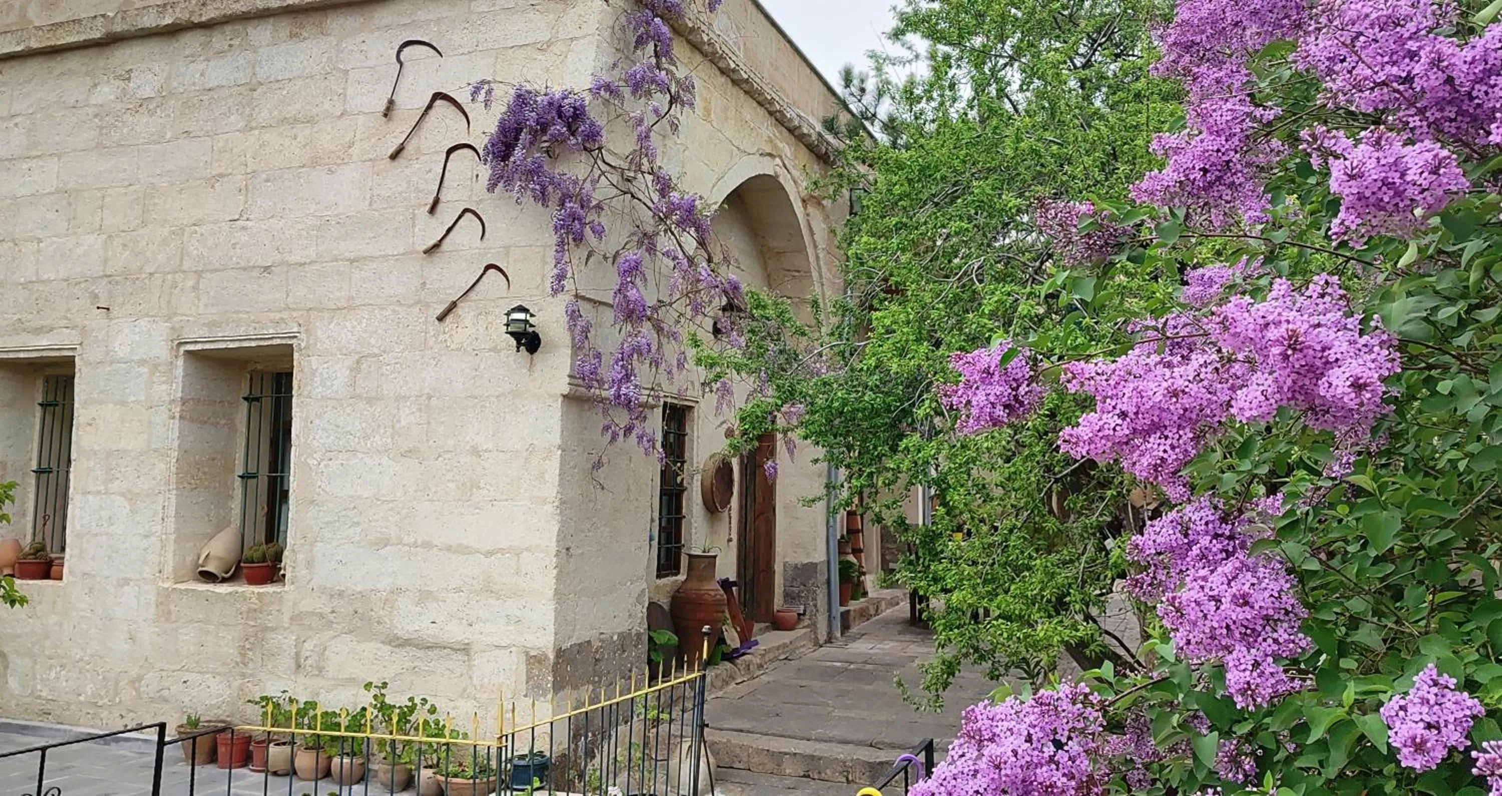 Garden in ARMEsos Cave Hotel