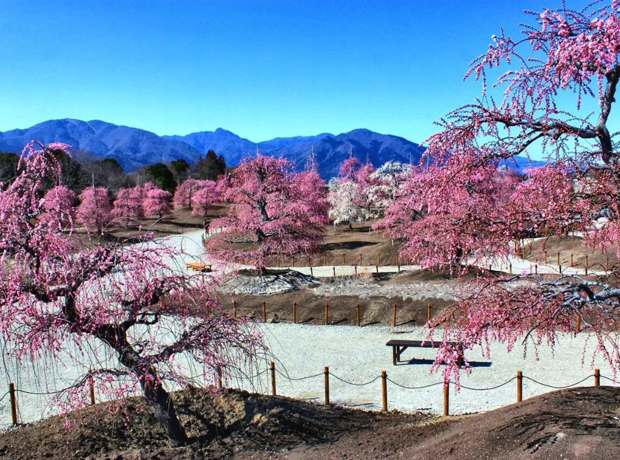 Nearby landmark in Arigato Stay Suzaka
