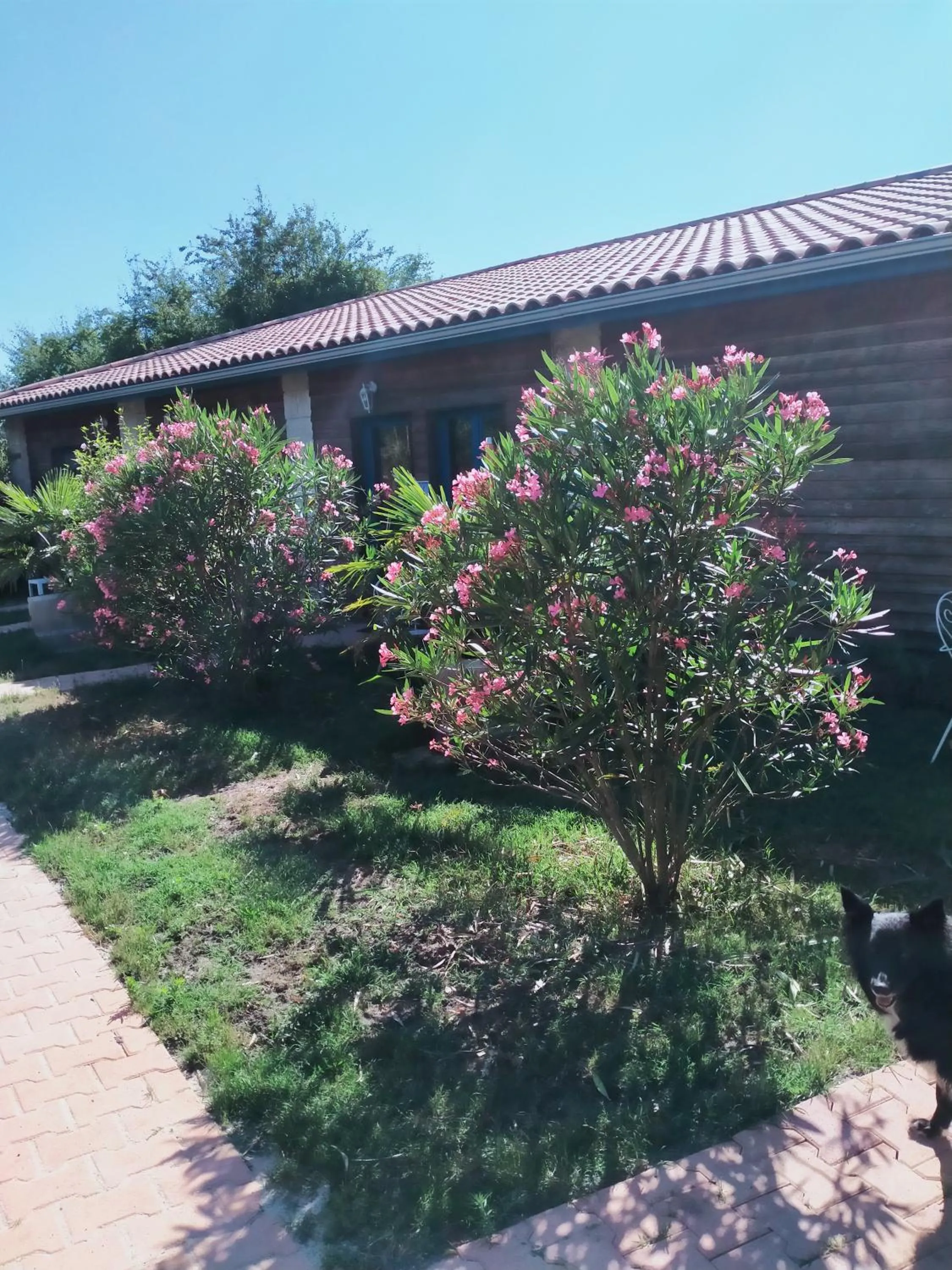 Garden view in La Cadournaise