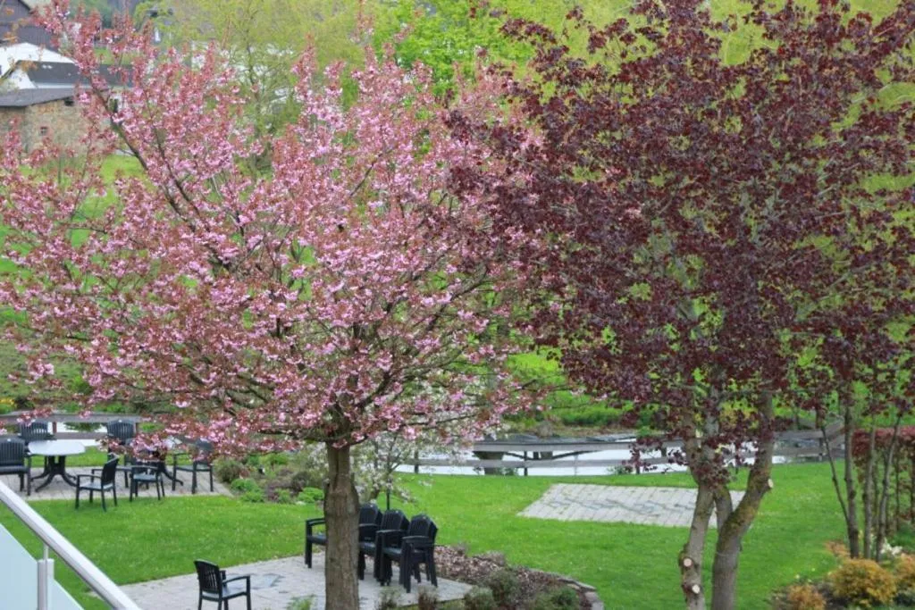 View (from property/room) in Hotel zum Buchenberg