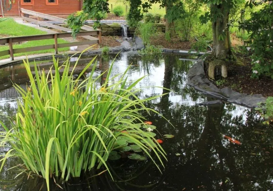 Garden in Hotel zum Buchenberg