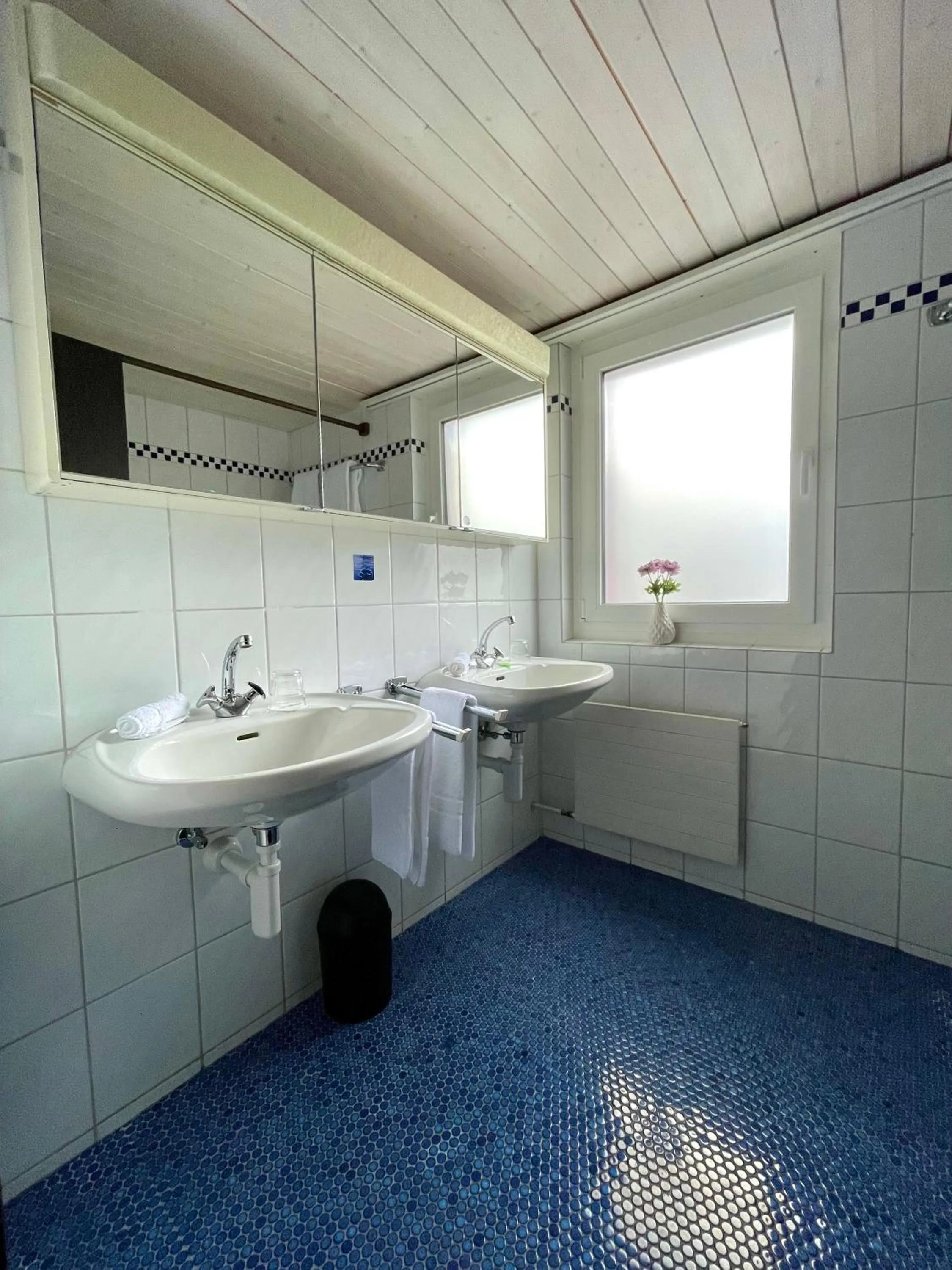 Bathroom in Alpenlodge Val Gronda