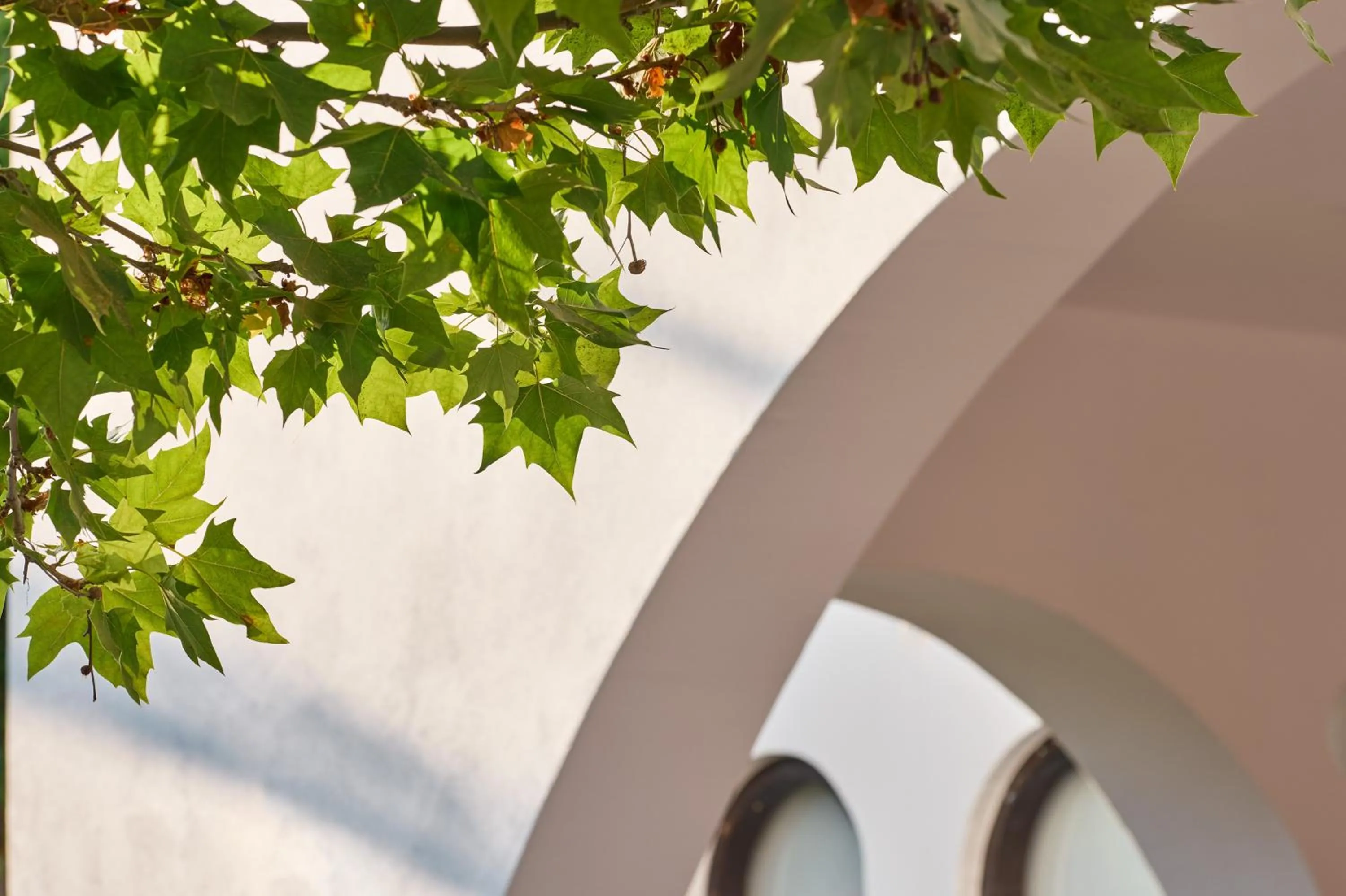 Day in Atlantica Akti Zeus Hotel