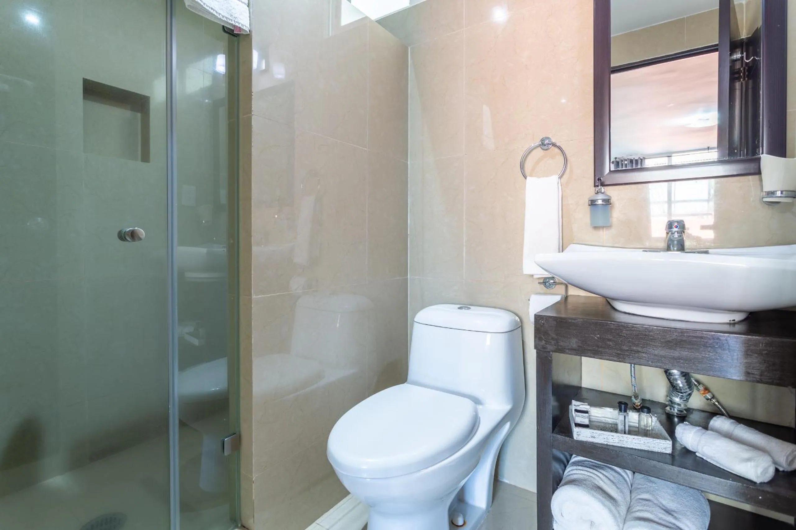 Shower in Suites 259 Condesa