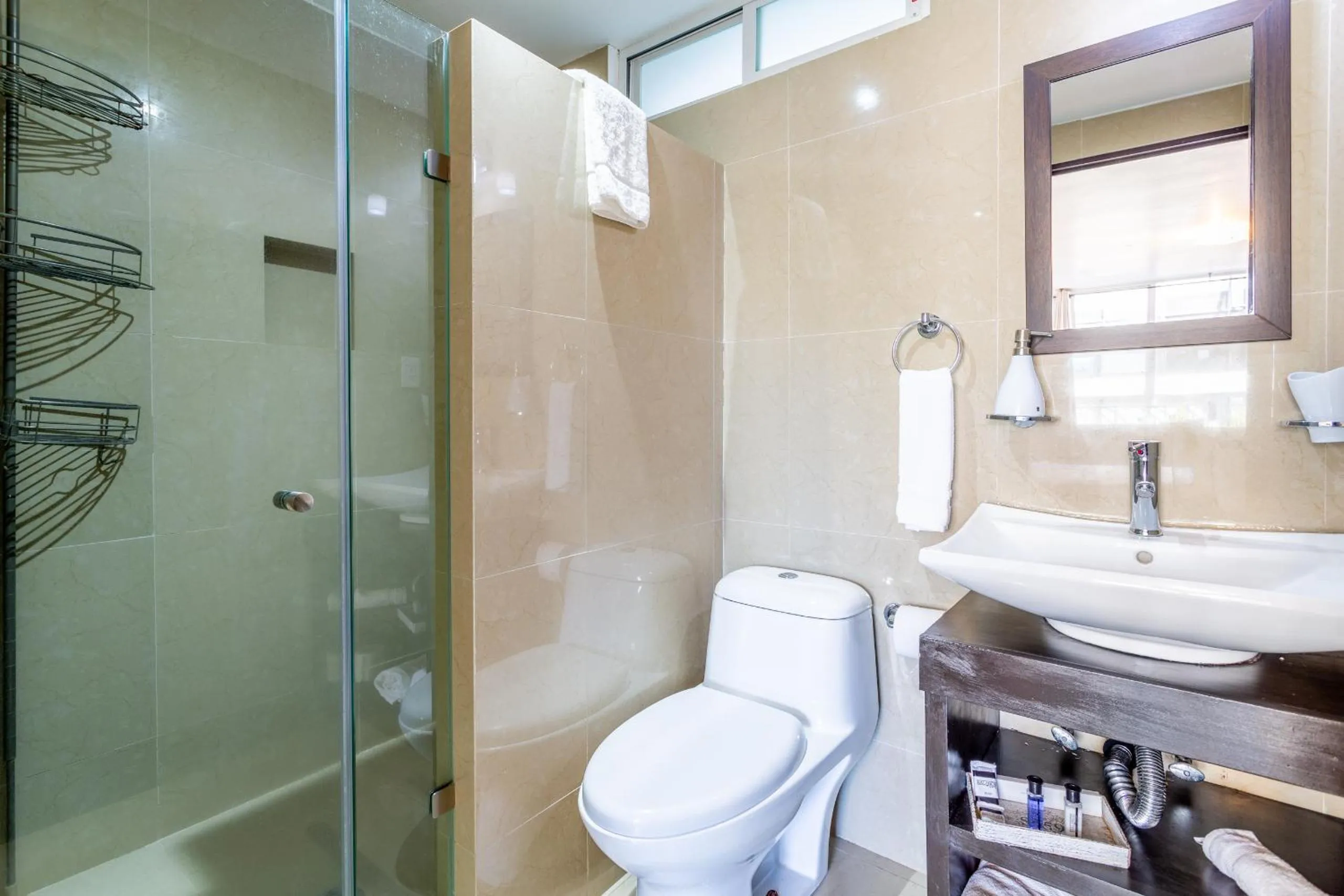 Shower in Suites 259 Condesa