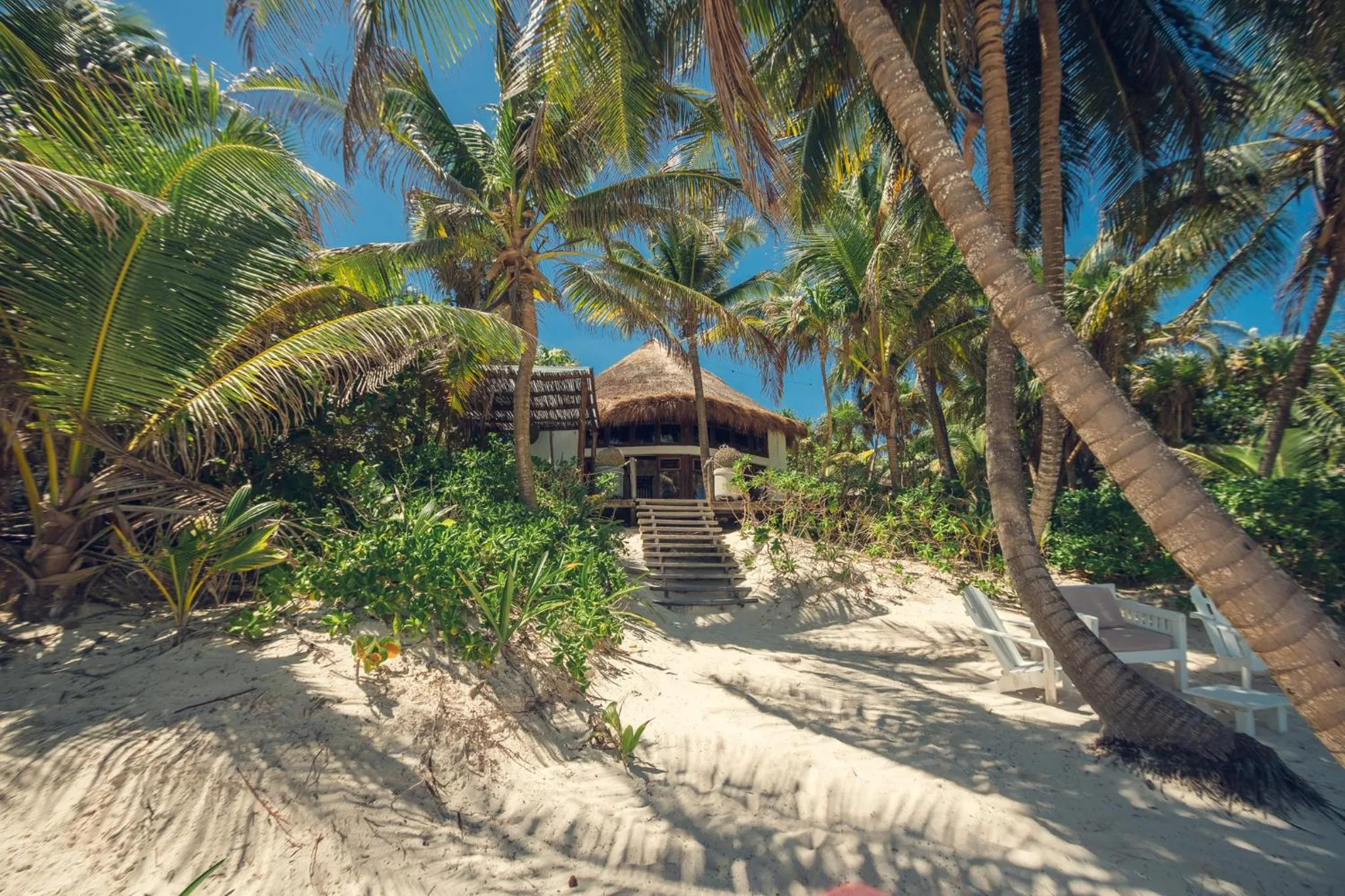 Natural landscape in Casa Zaba