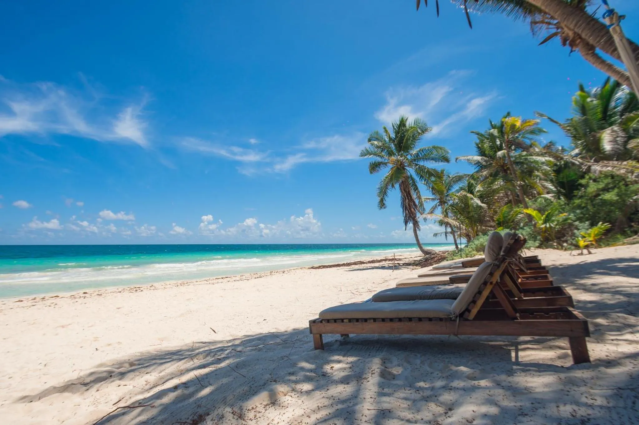 Natural landscape in Casa Zaba