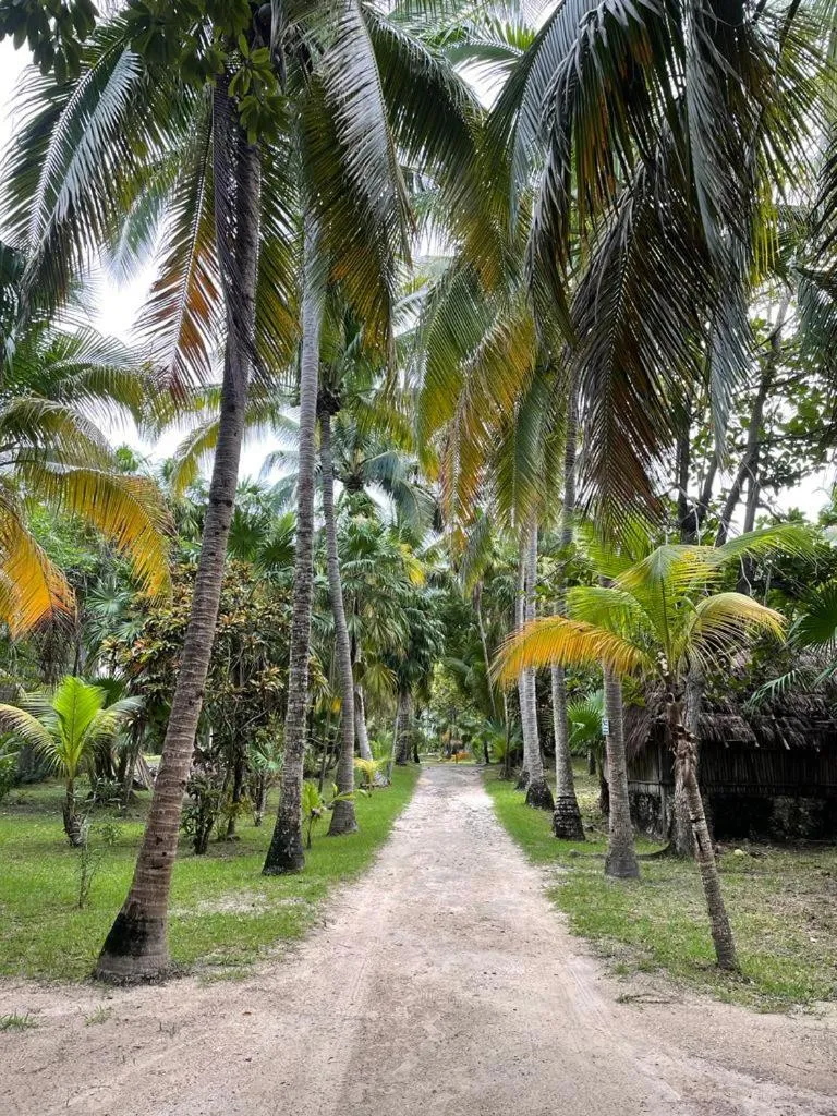 Natural landscape in Casa Zaba