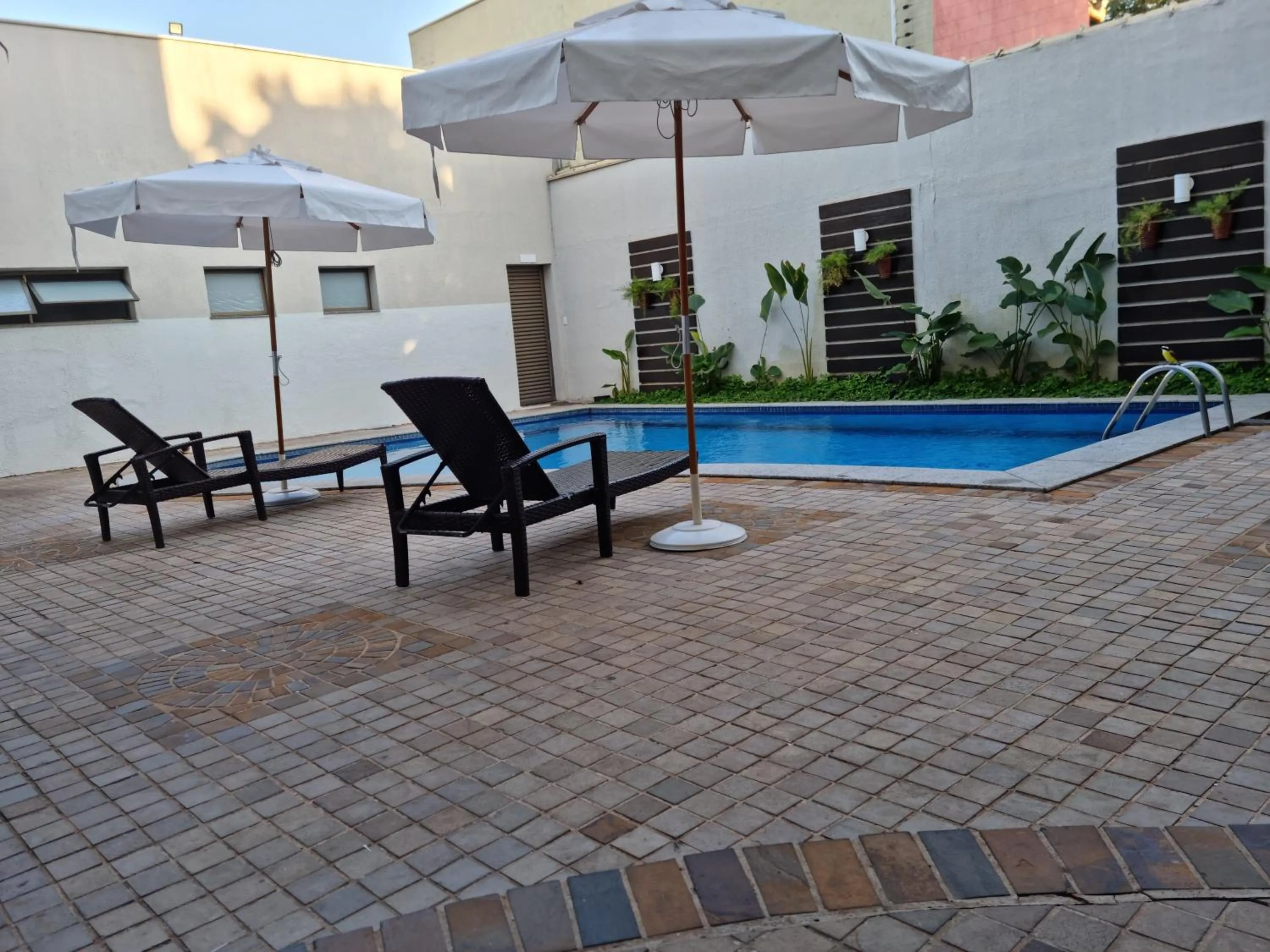 Swimming pool in Hotel Piratininga Avenida Amazonas - Rondonópolis