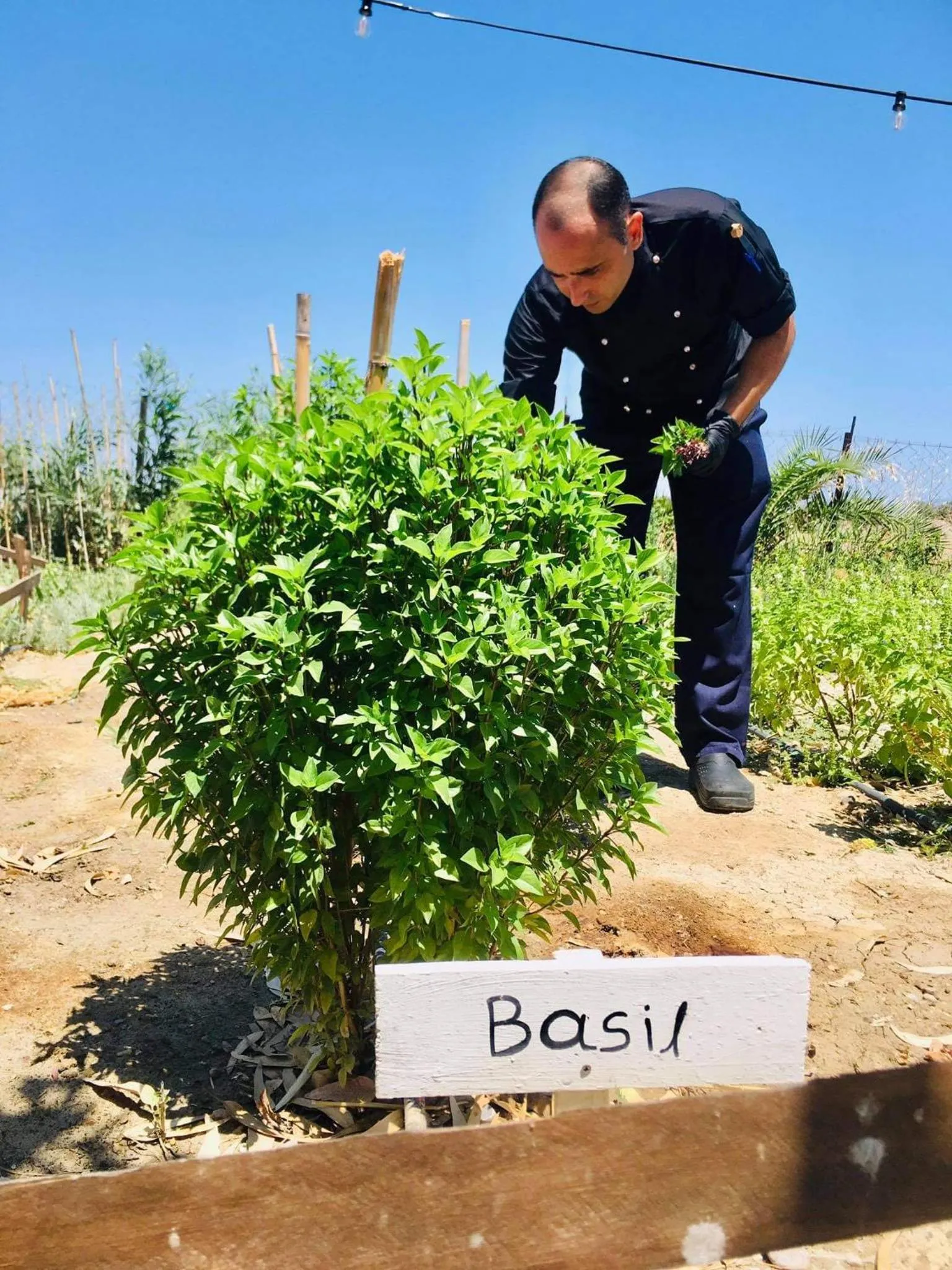 Day in Eco Beach And Magic Garden Hotel