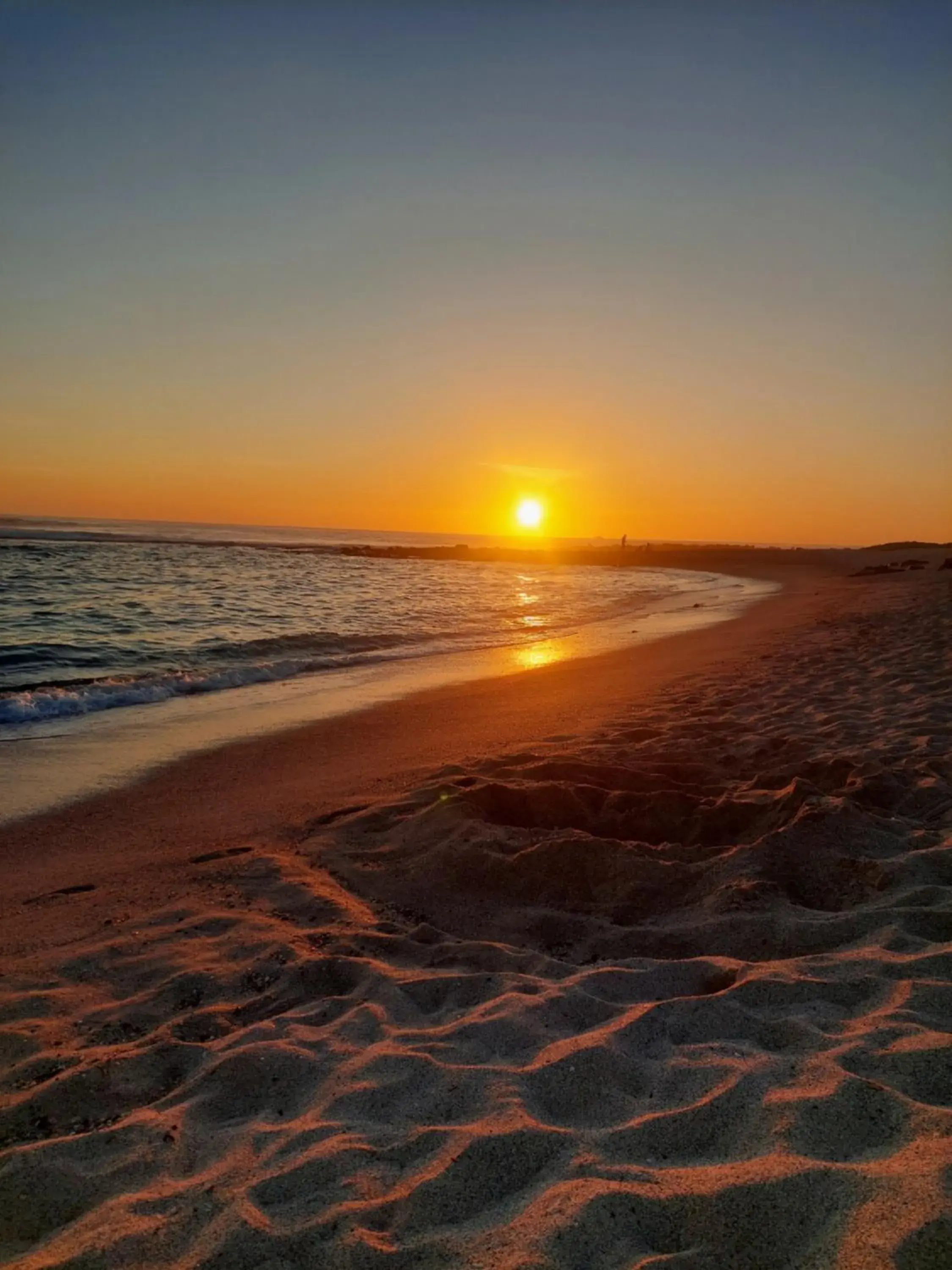 Single Room with Double Bed - single occupancy in Royal Galápagos Inn Single Room with Double Bed - single occupancy in Royal Galápagos Inn