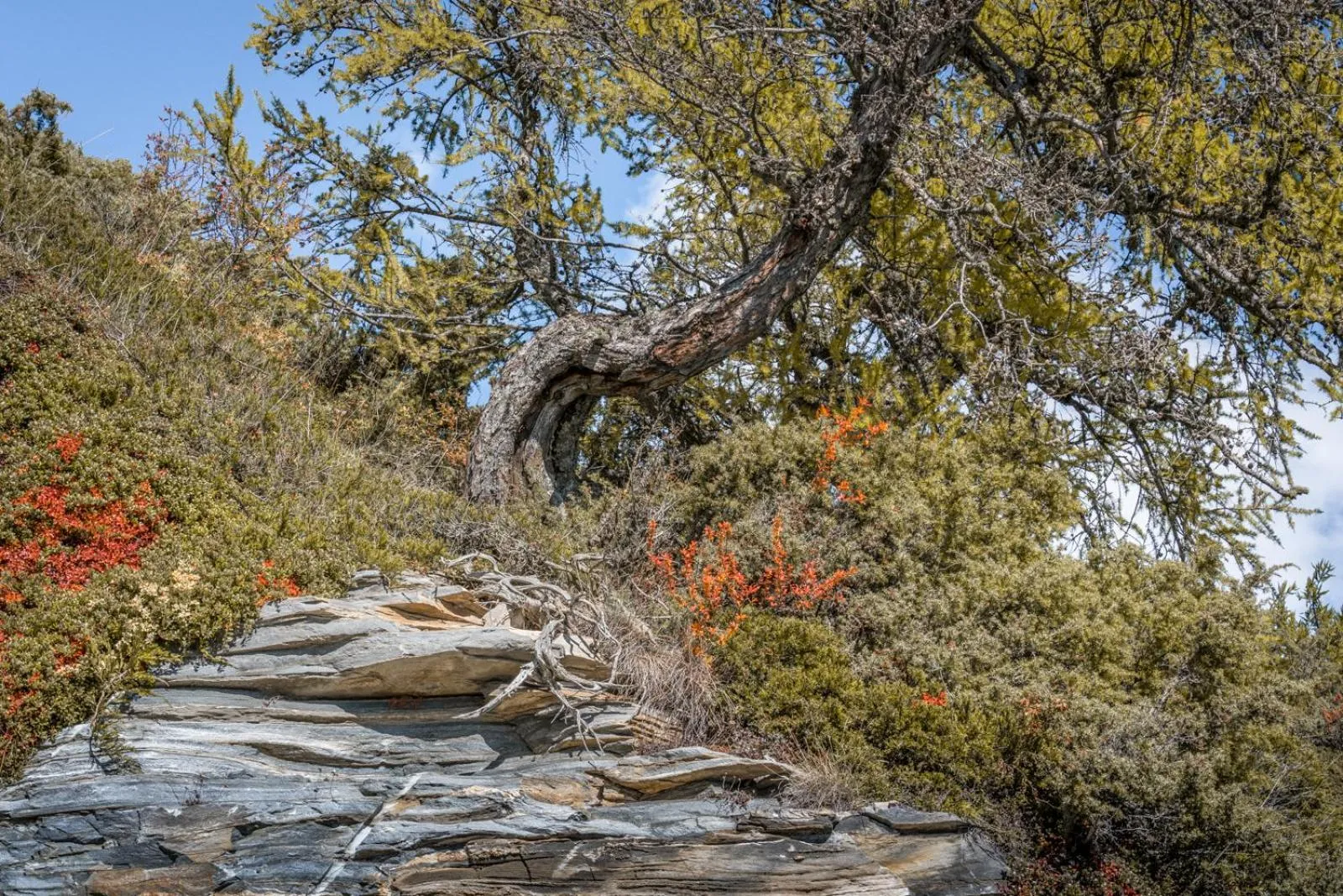 Natural Landscape in VISP erblick H O T E L AUSSERBERG Early & Late Check-in