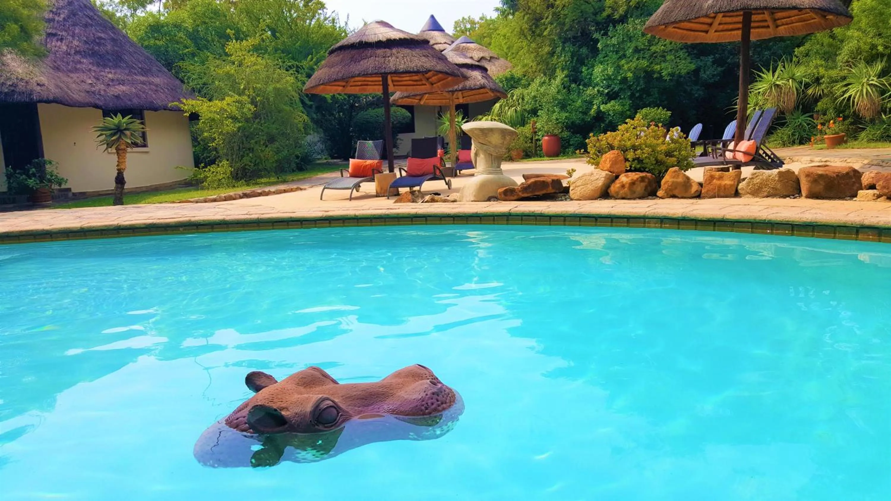Pool view in Aquanzi Lodge