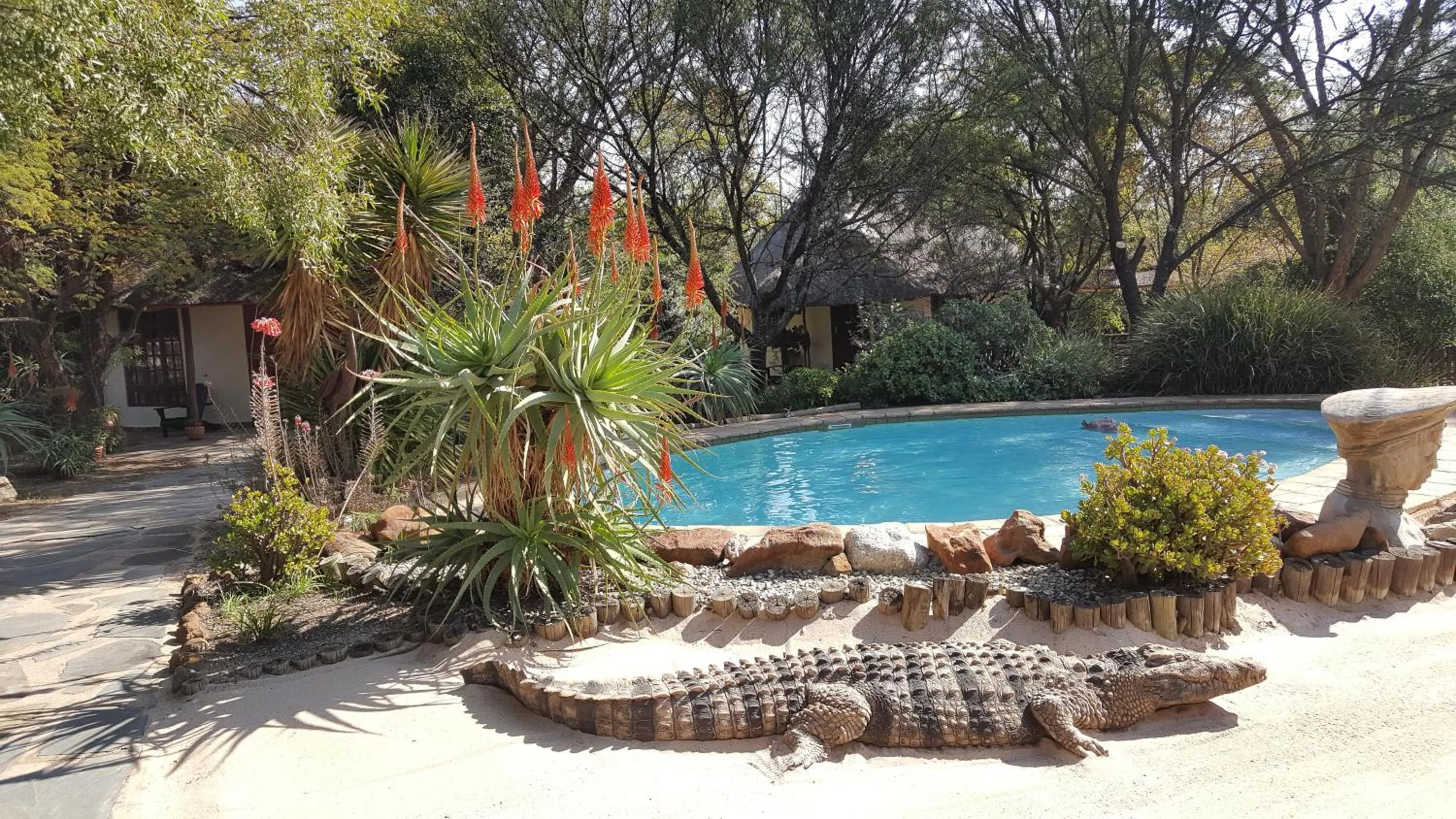 Swimming pool in Aquanzi Lodge