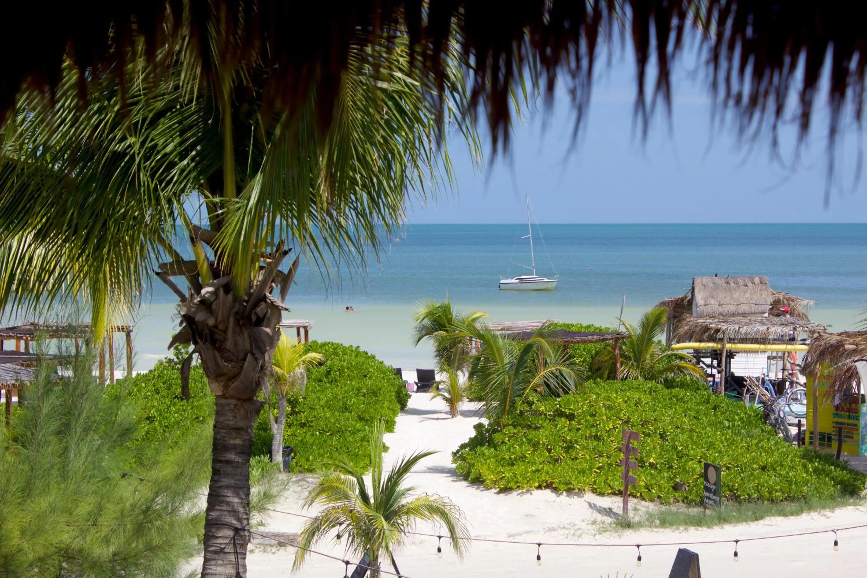 Natural landscape in Casa Iguana Holbox - Beachfront Hotel