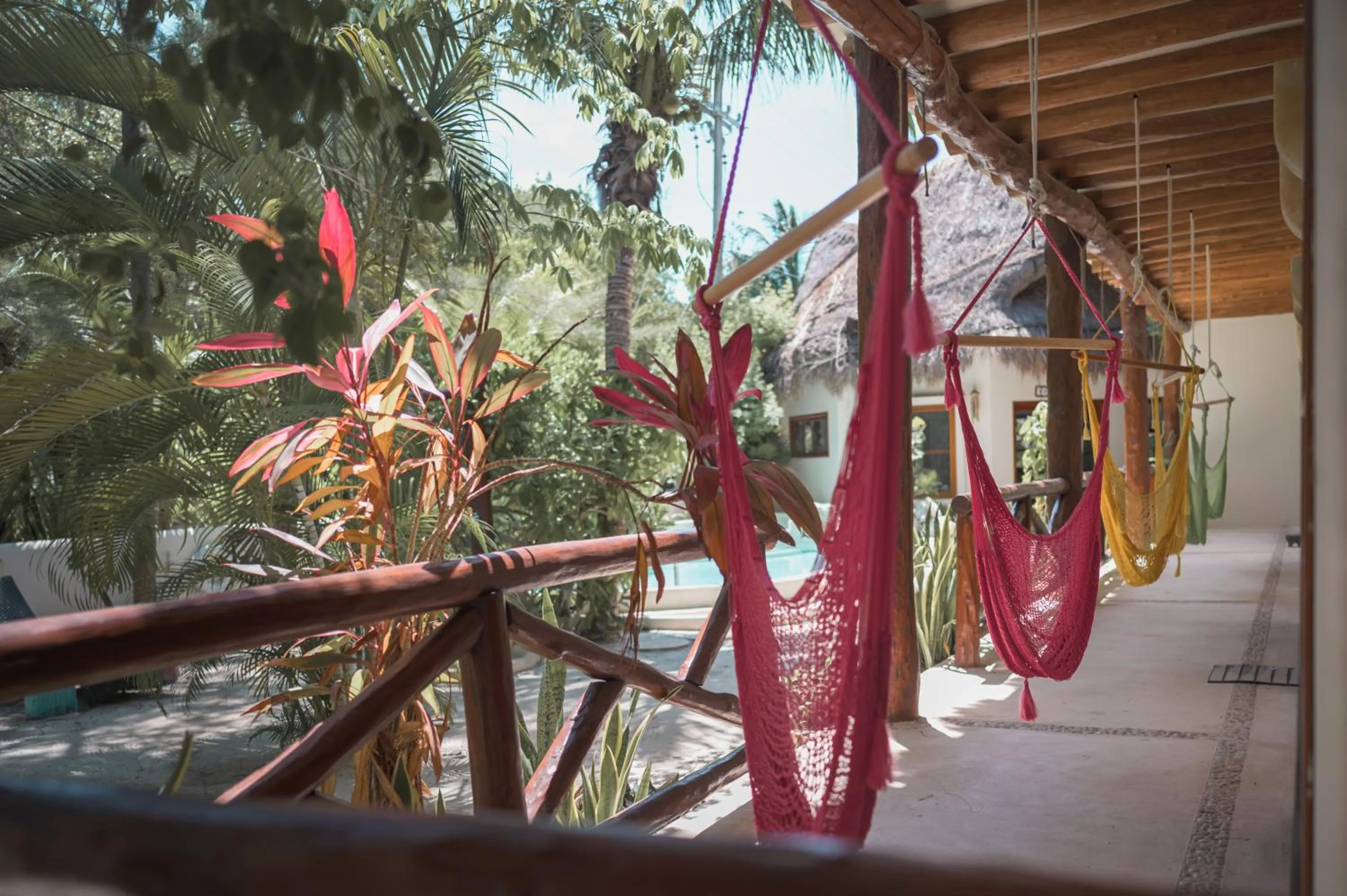 Garden in Casa Iguana Holbox - Beachfront Hotel