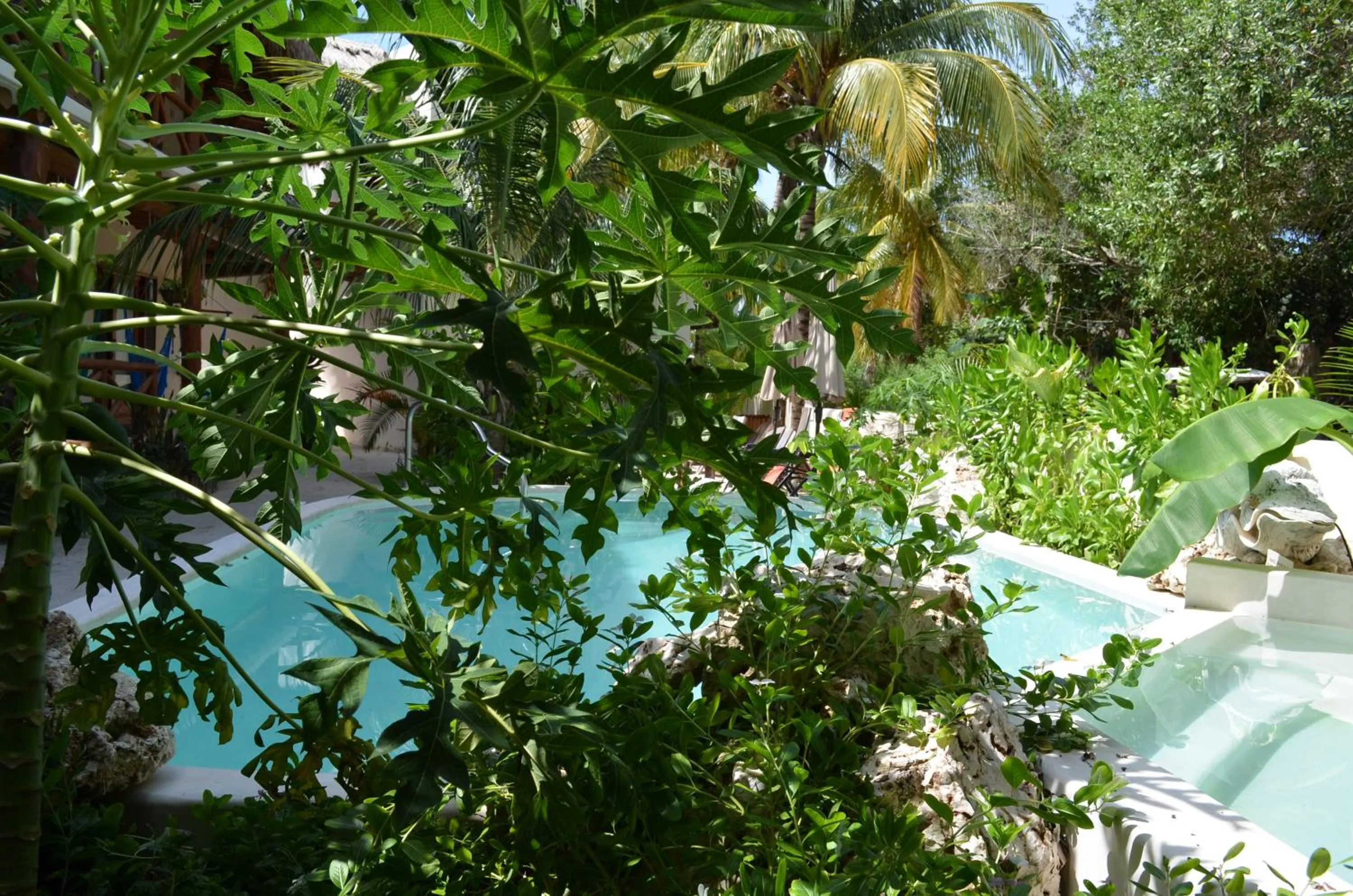Garden view in Casa Iguana Holbox - Beachfront Hotel