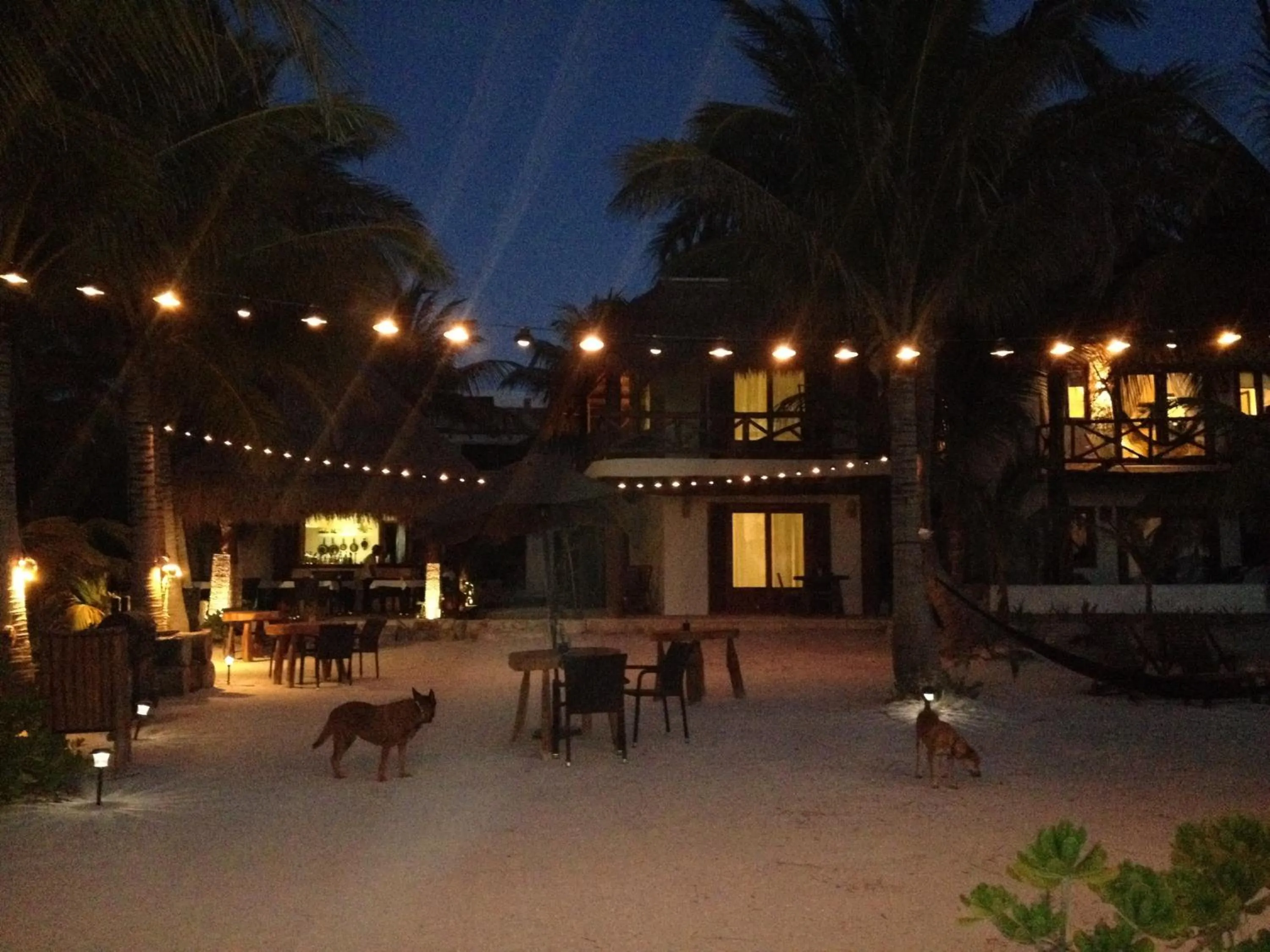 Restaurant/places to eat in Casa Iguana Holbox - Beachfront Hotel