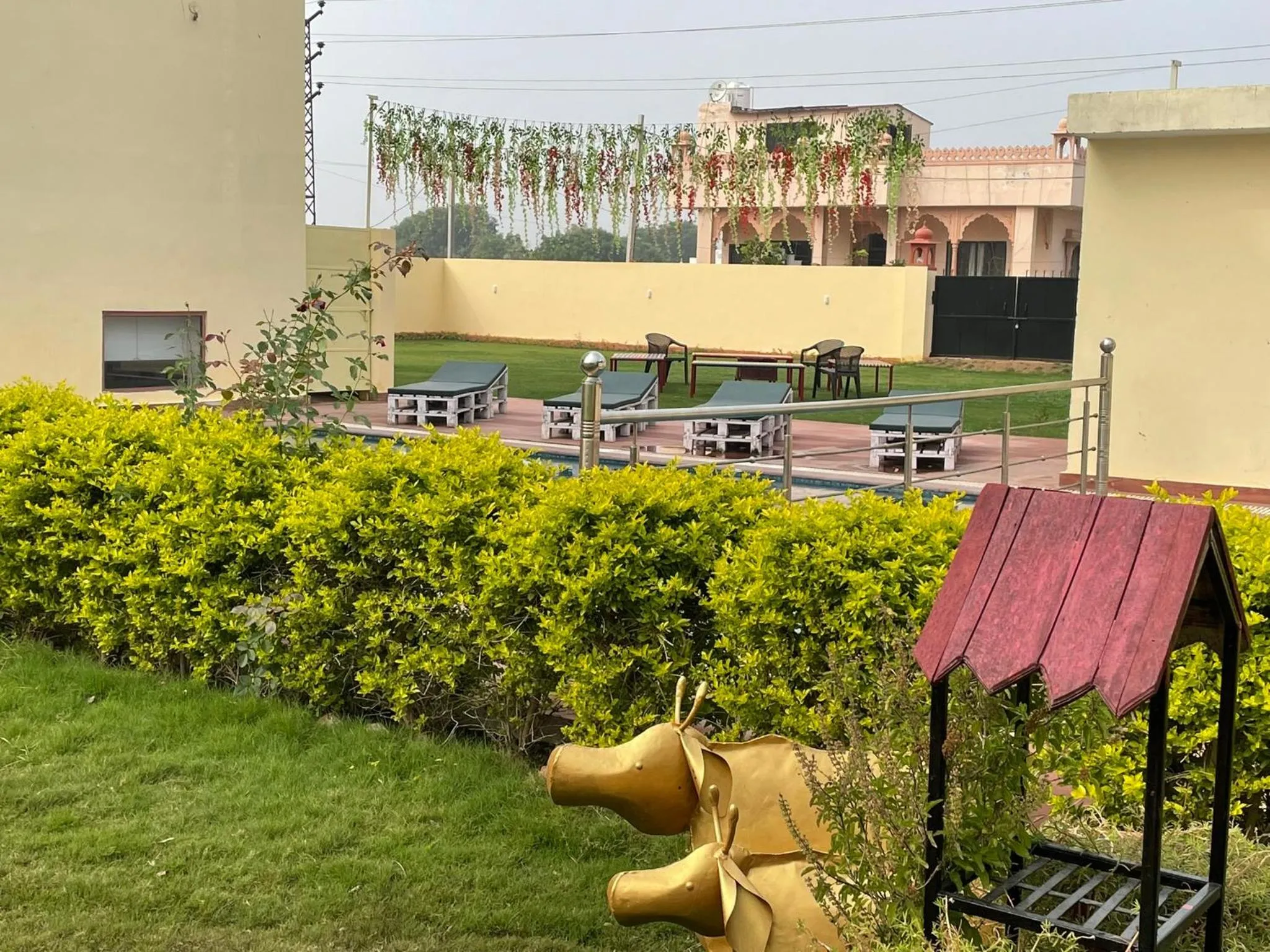 Garden in Omak Tiger Seven