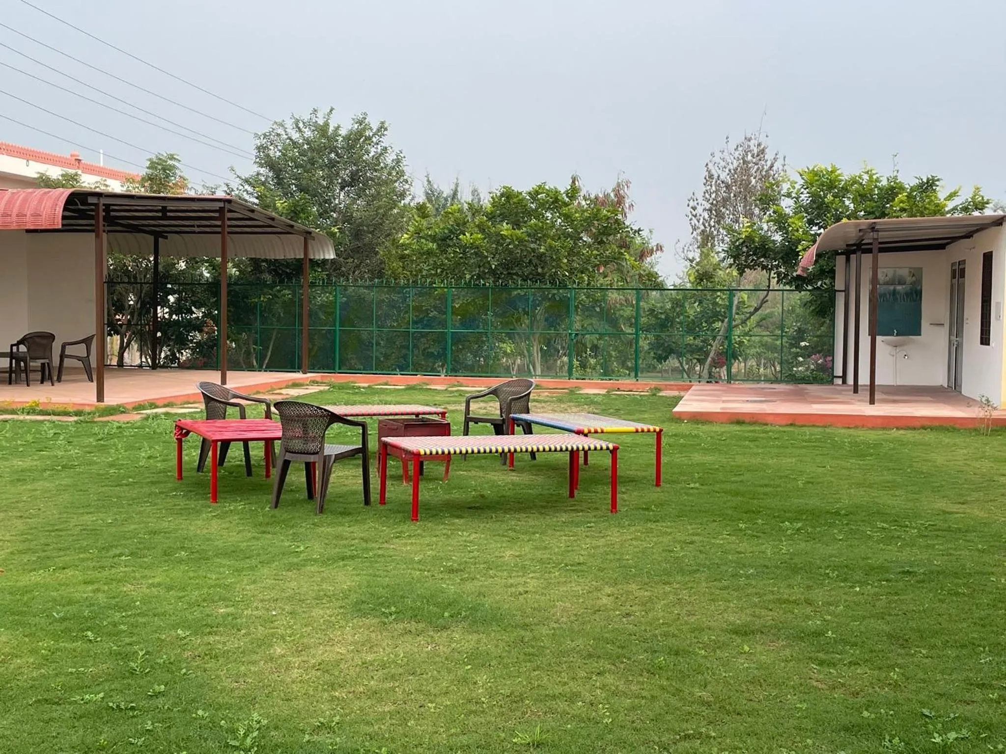 Garden in Omak Tiger Seven