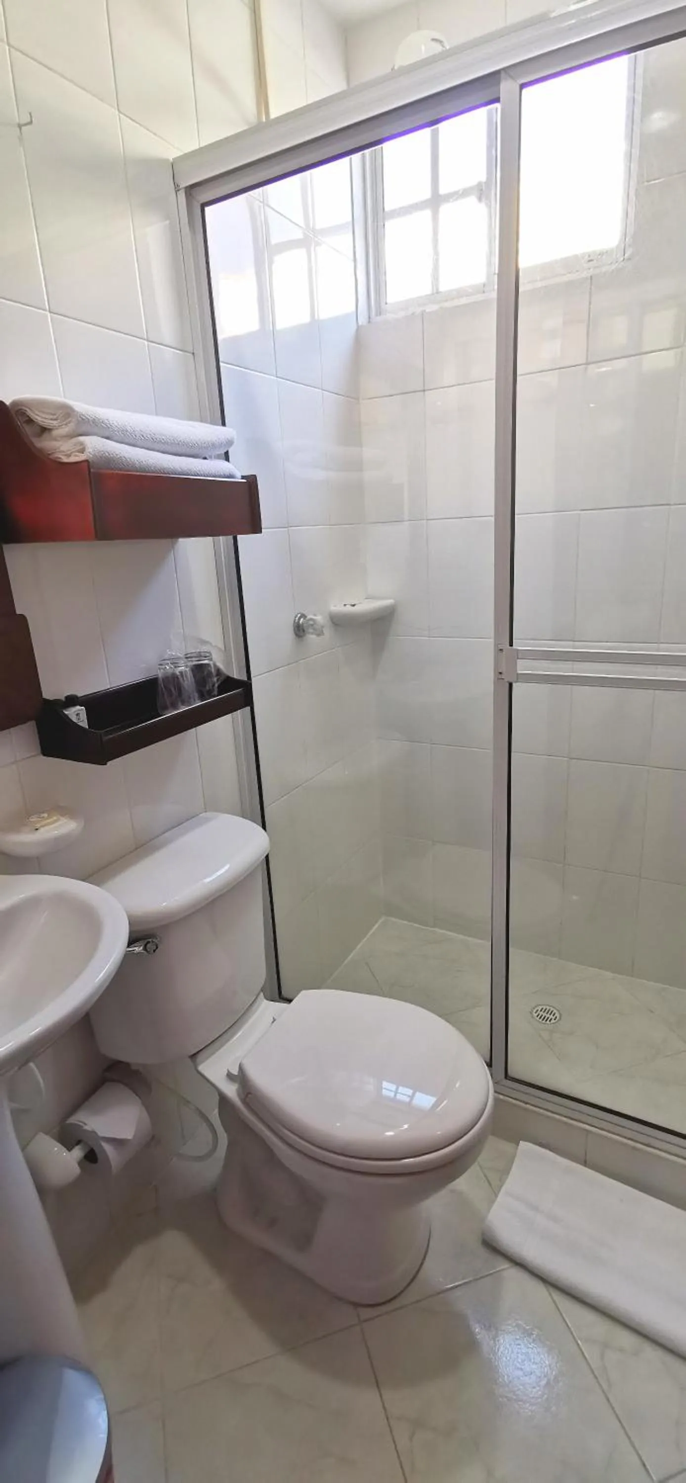 Shower in Hotel Torre del Prado