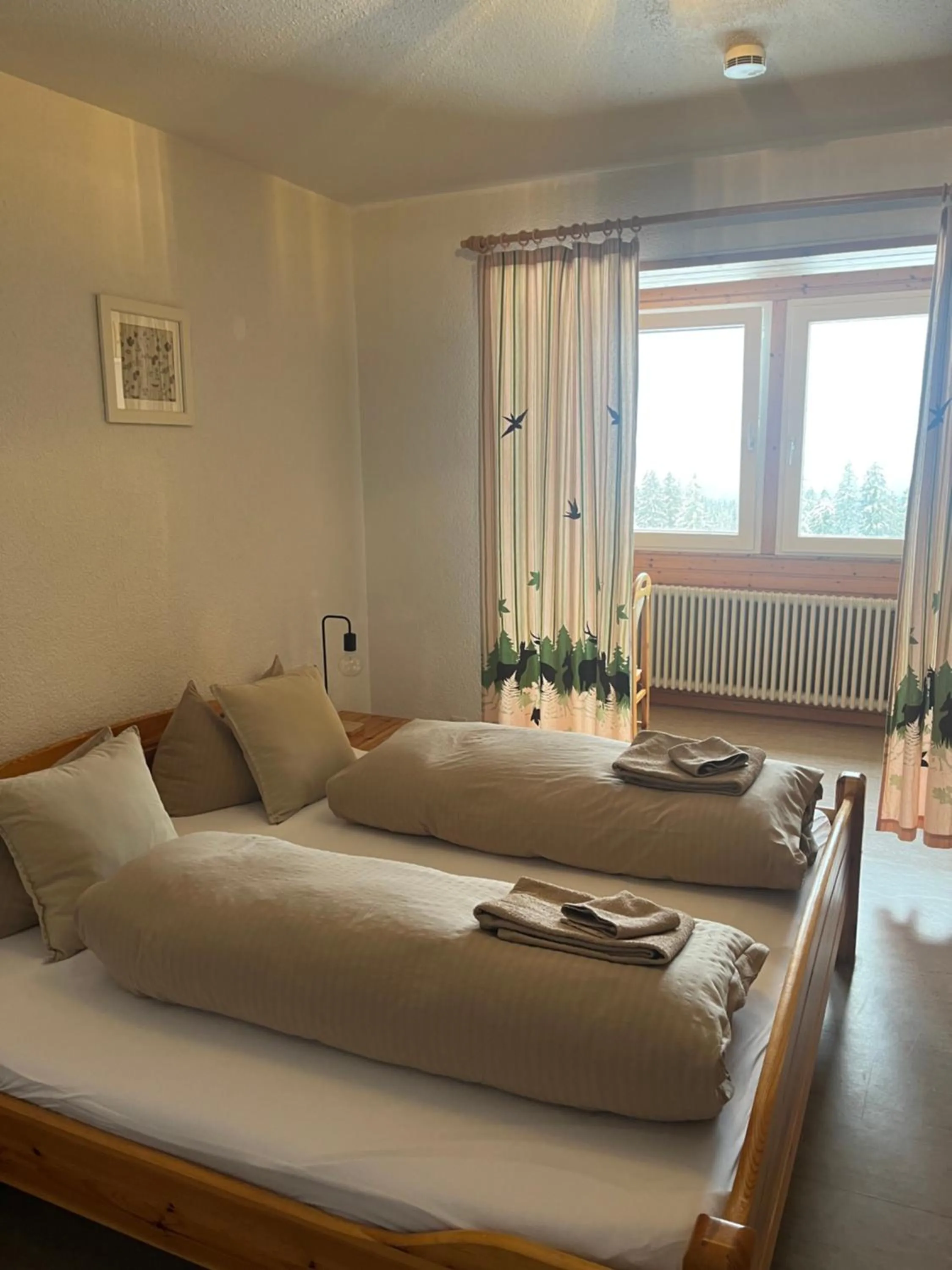 Photo of the whole room, Bed in Berggasthof zur Todtnauer Hütte