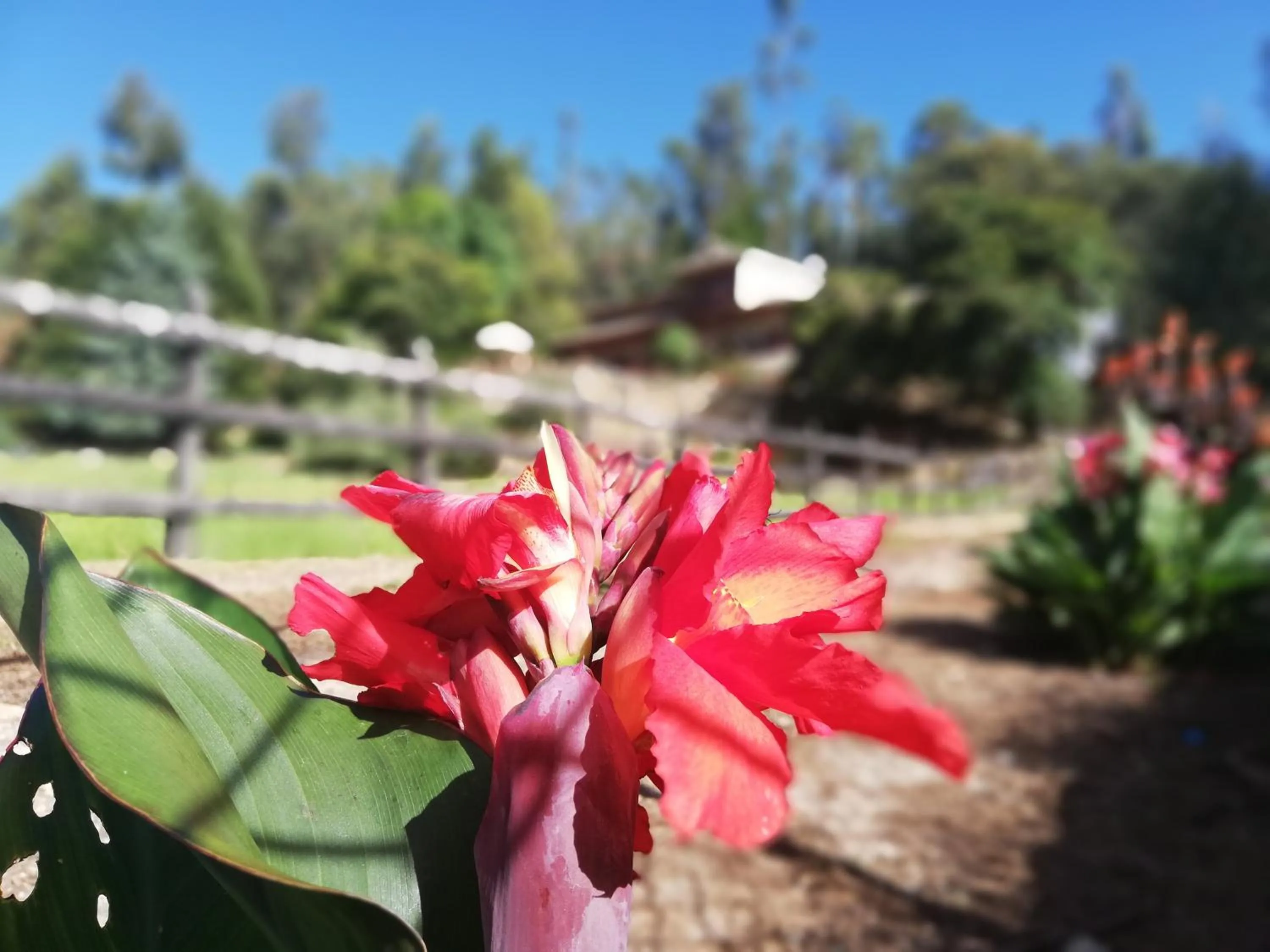 Posada el portal de la Loma