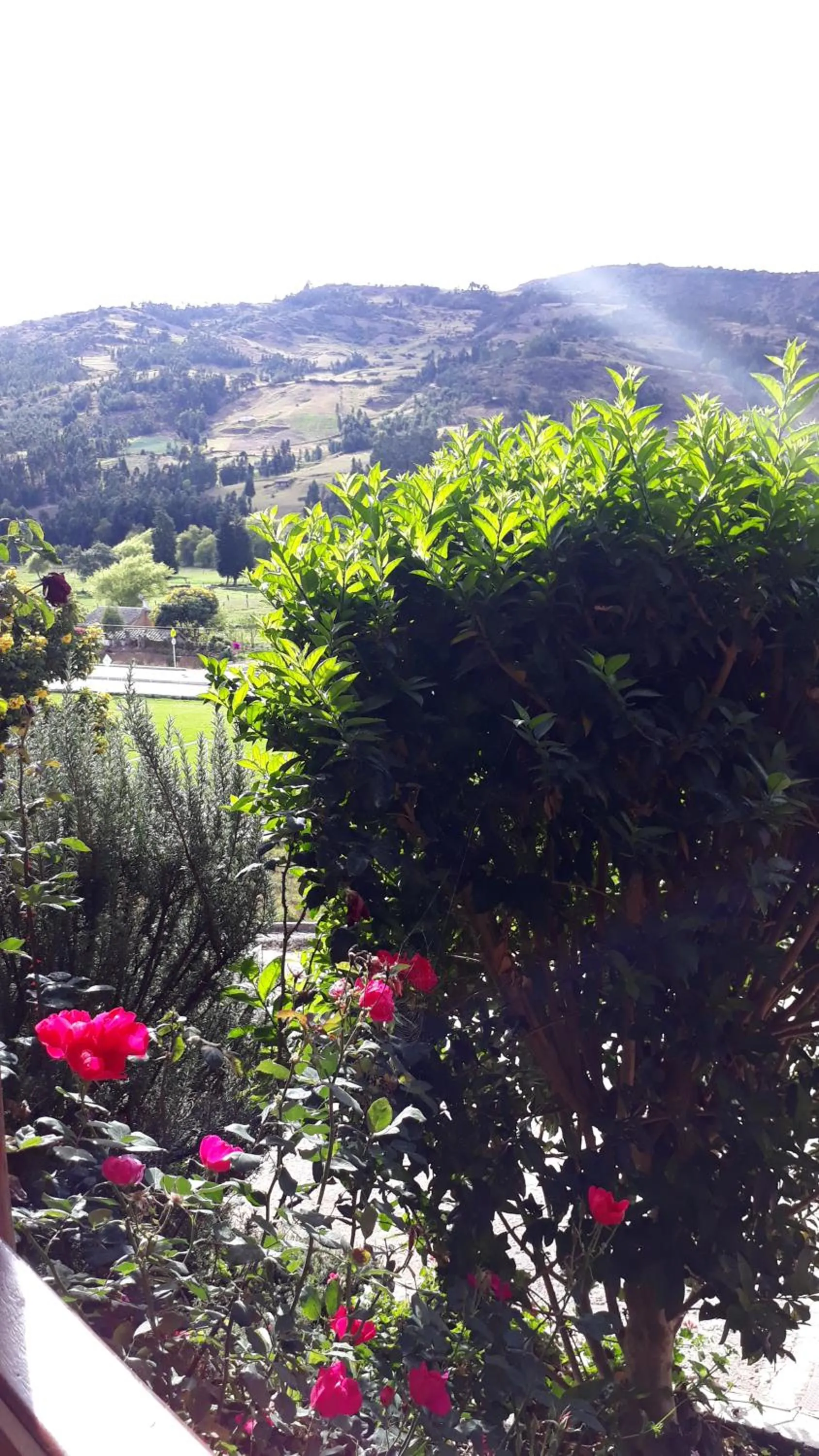 Mountain View in Posada el portal de la Loma