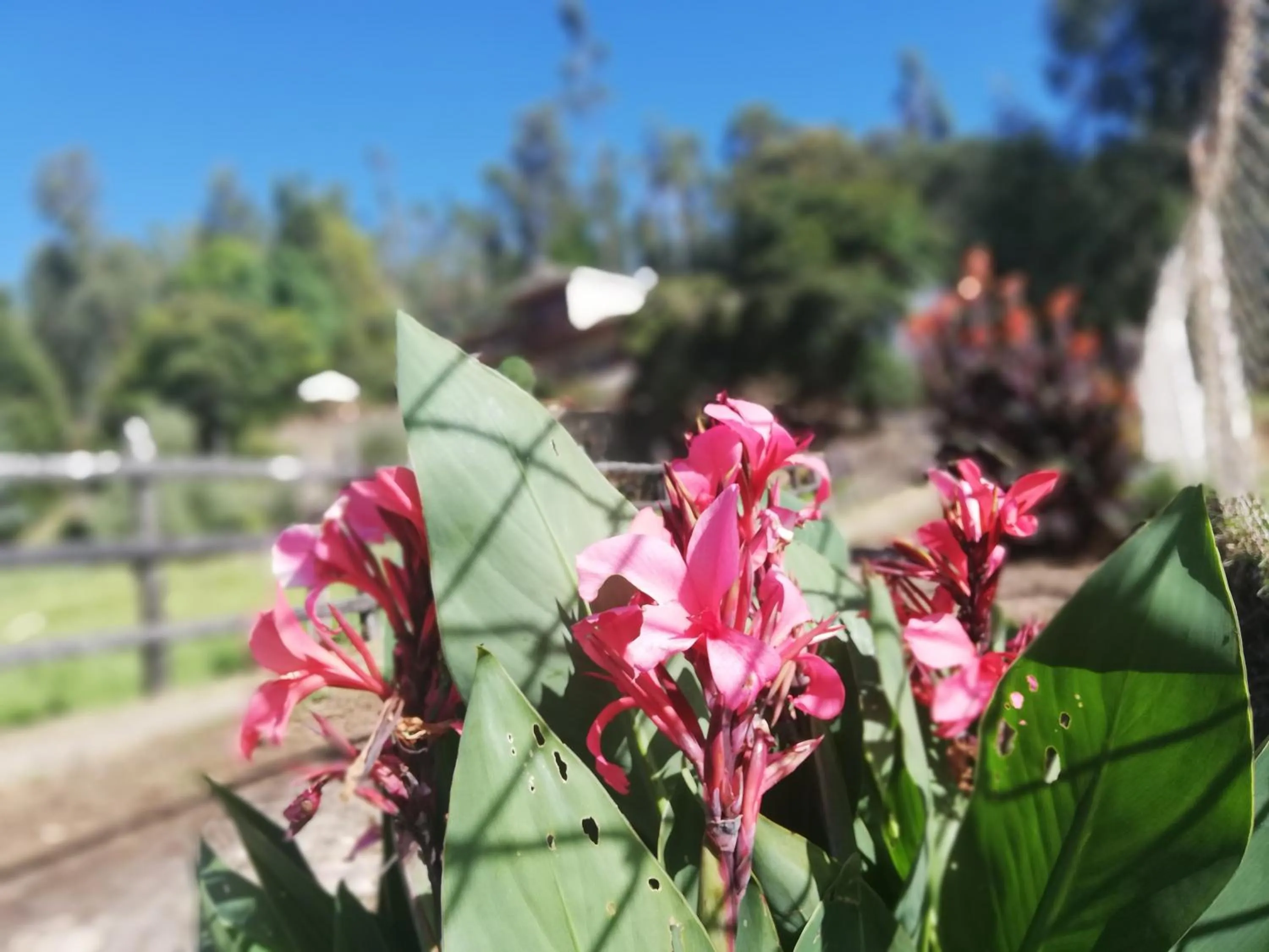 Posada el portal de la Loma