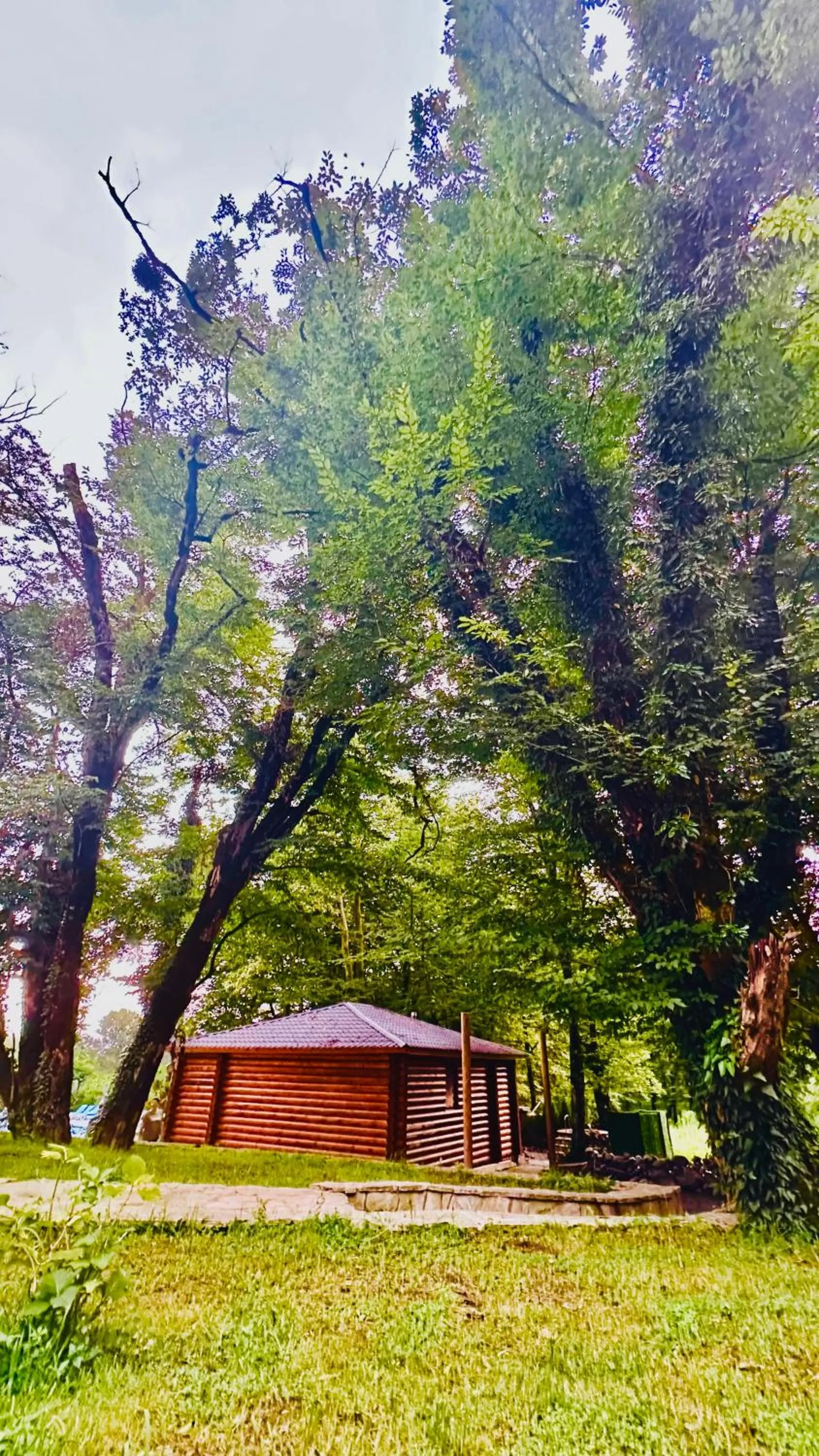 Sauna in Wald Hotel Lagodekhi Rooms