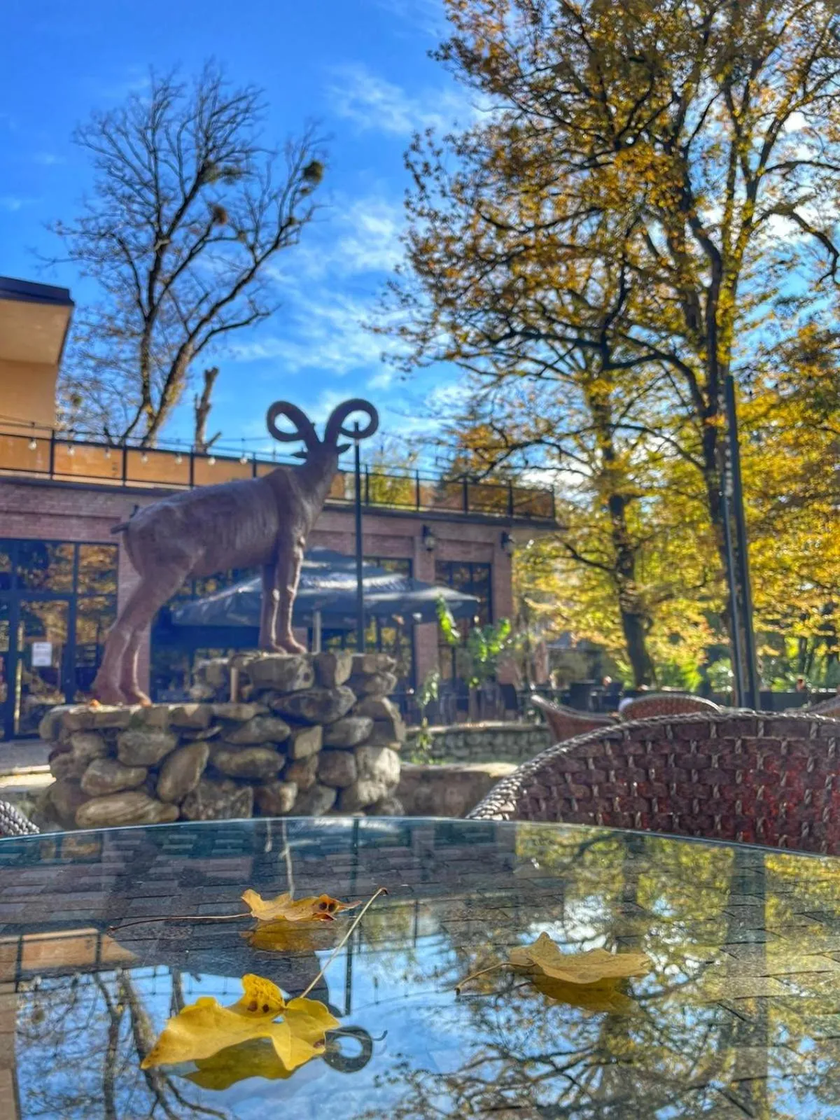 Autumn in Wald Hotel Lagodekhi Rooms