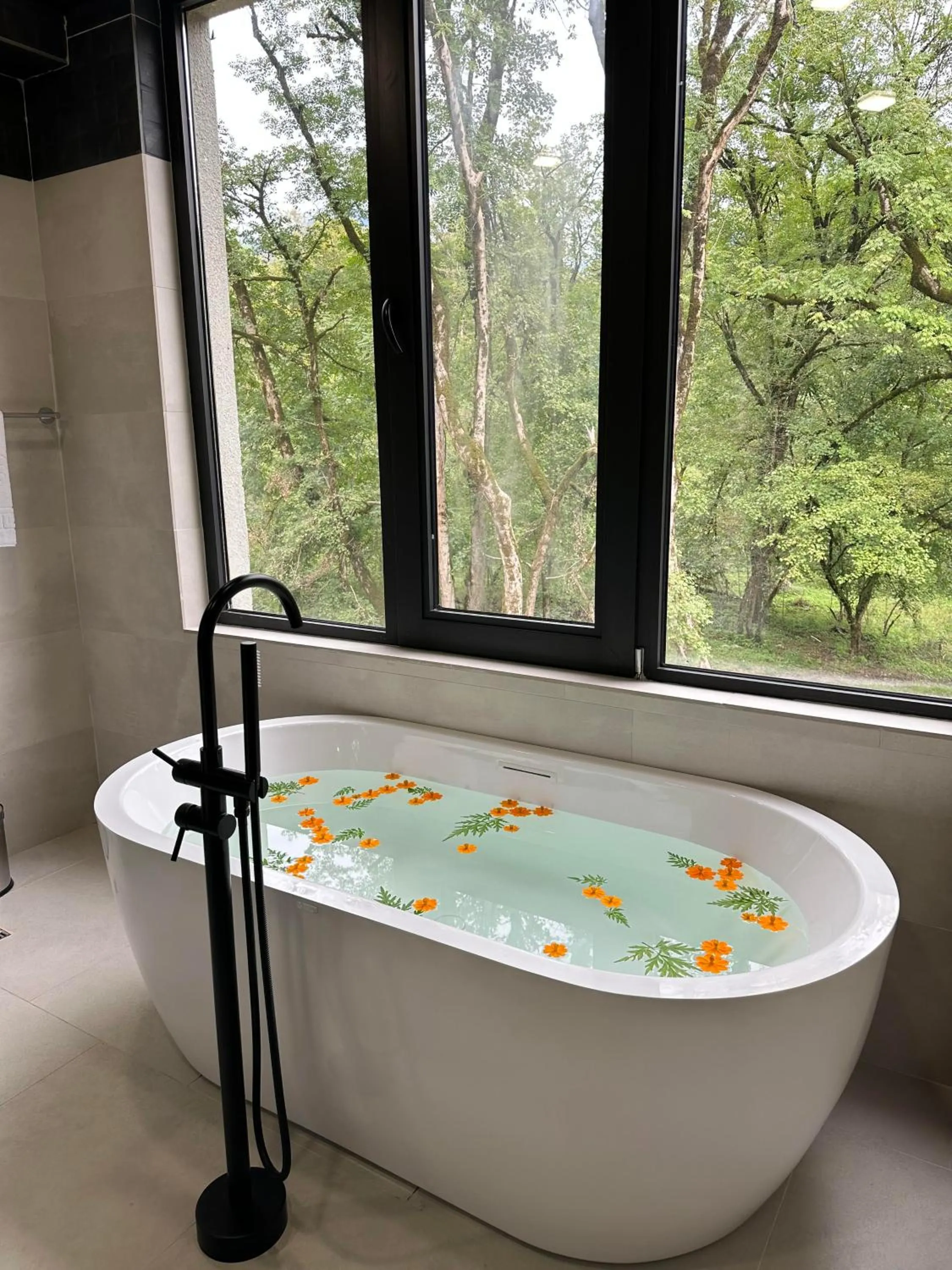 Wald Hotel Lagodekhi Rooms