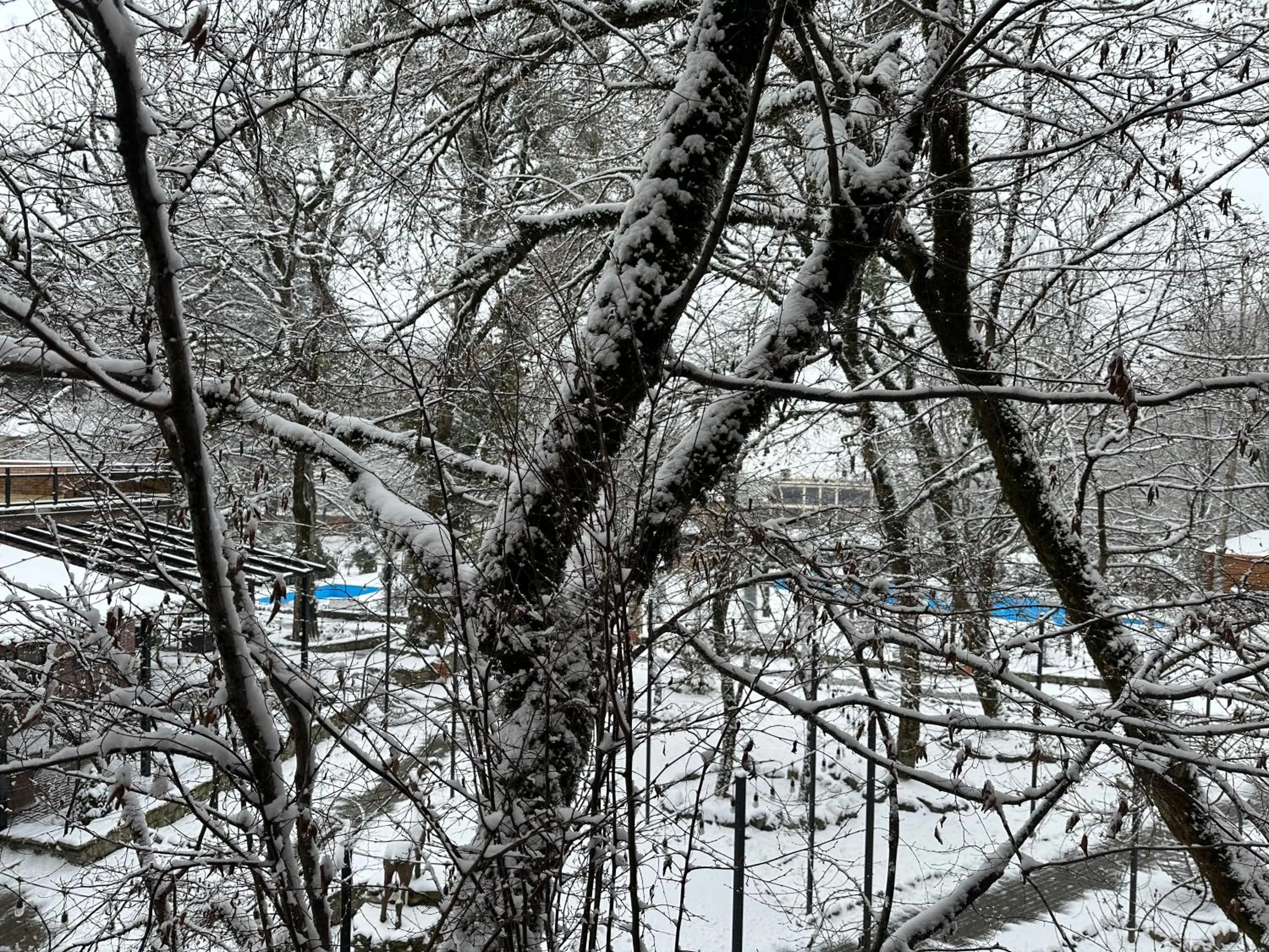 Wald Hotel Lagodekhi Rooms