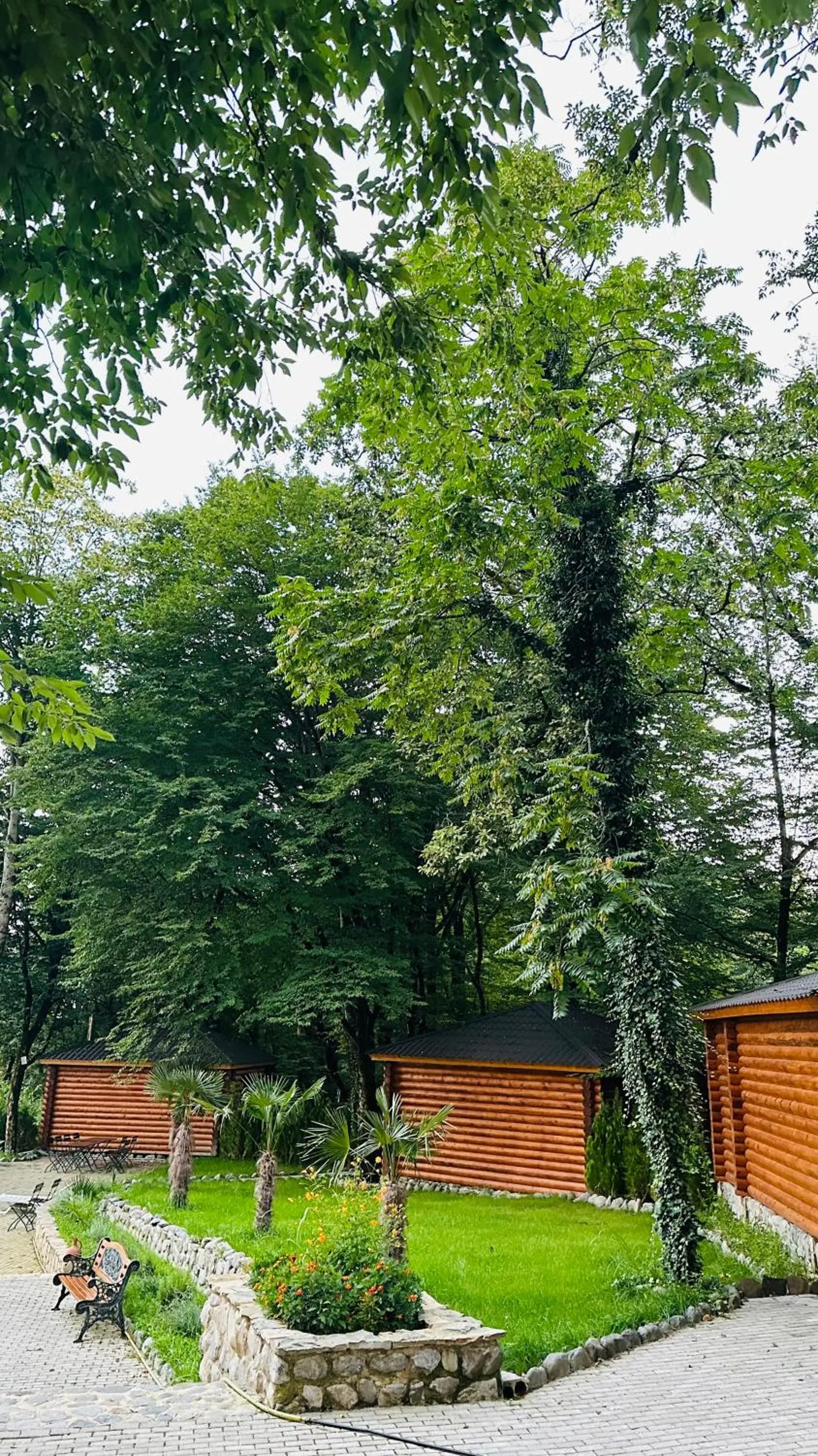 Sauna in Wald Hotel Lagodekhi Rooms