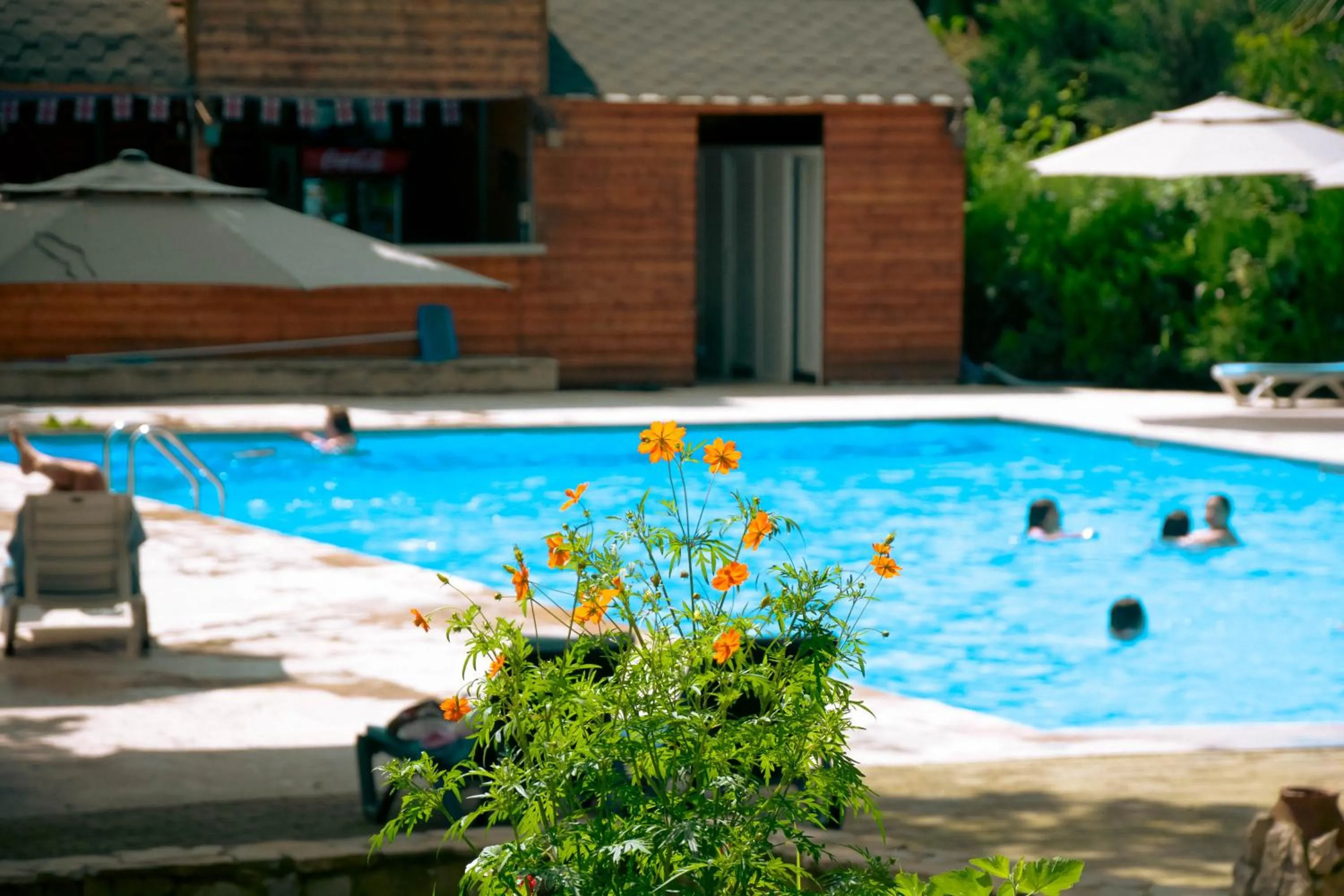 Swimming pool in Wald Hotel Lagodekhi Rooms