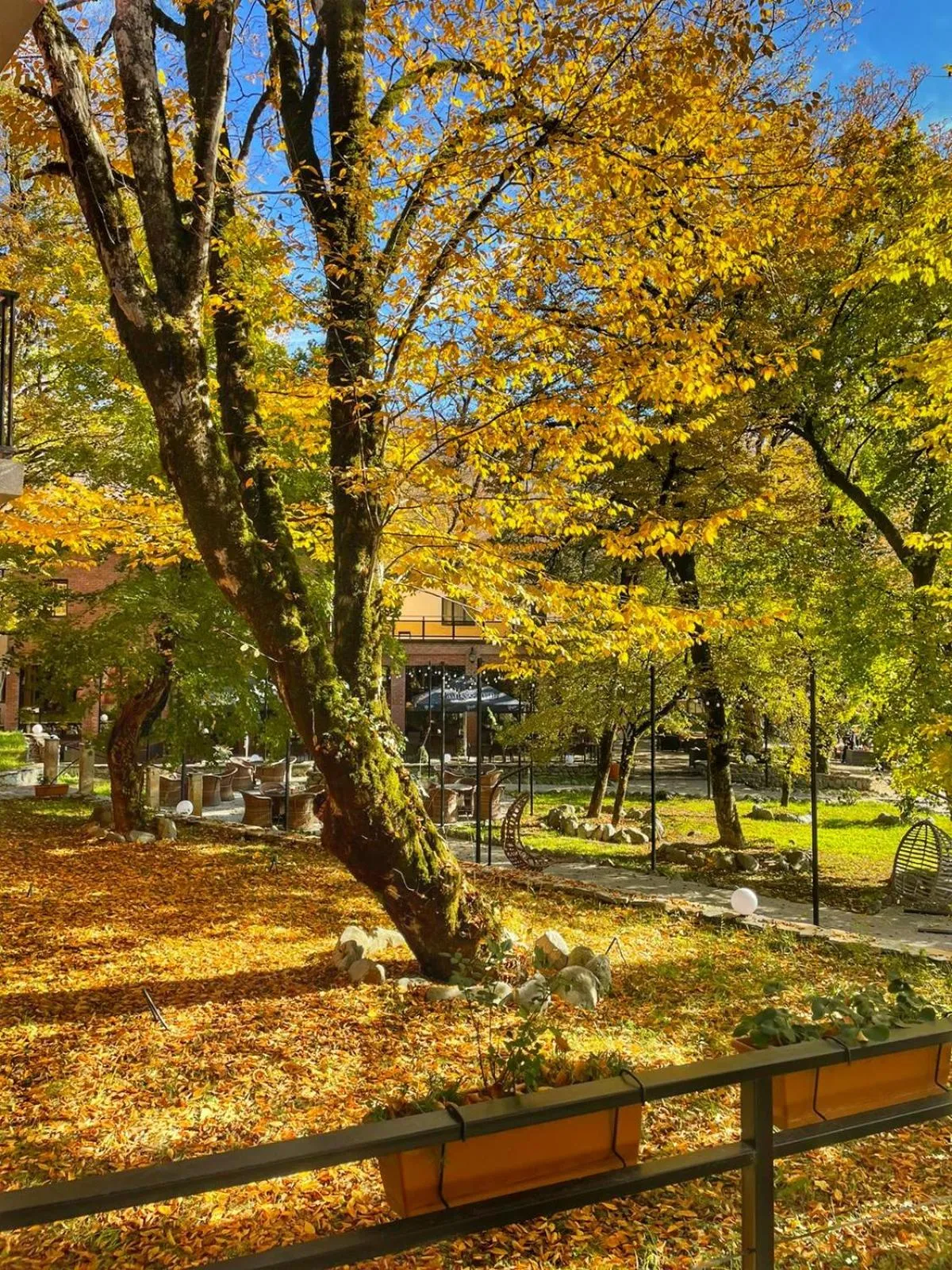 Autumn in Wald Hotel Lagodekhi Rooms