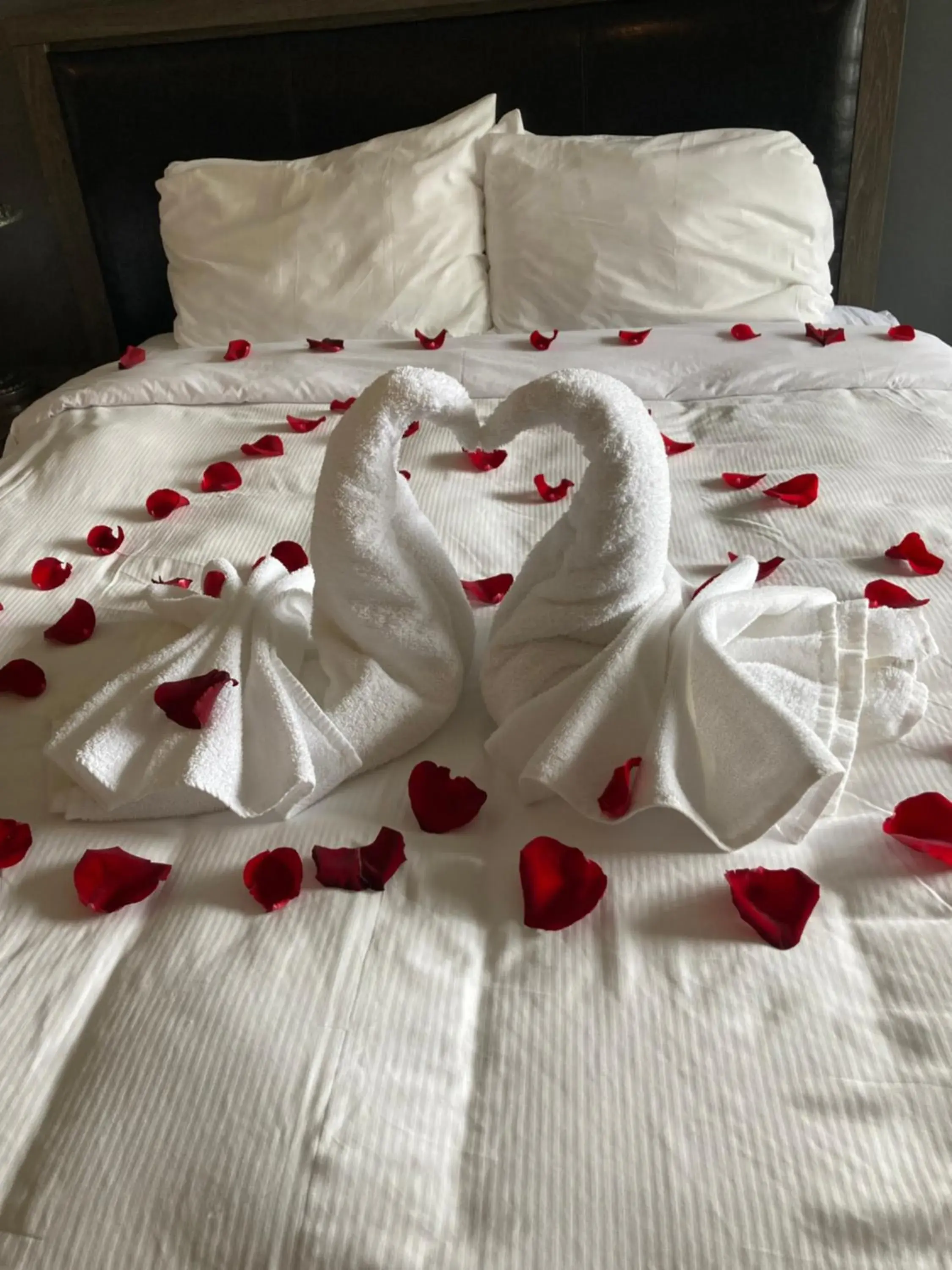 Superior Room with Two Queen Beds and Lake View in Manoir Lac-Etchemin Superior Room with Two Queen Beds and Lake View in Manoir Lac-Etchemin