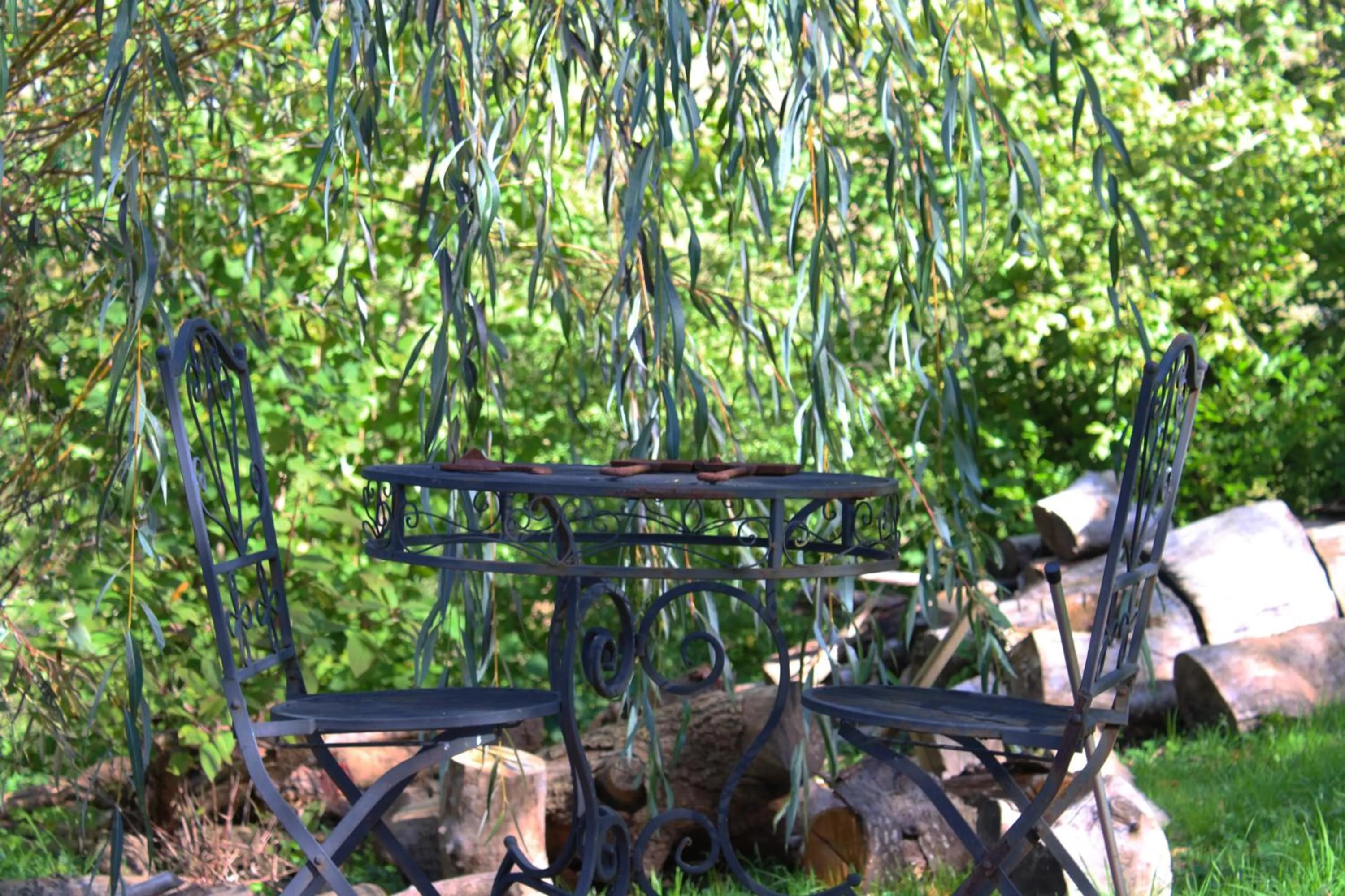 Garden in Chez Madame Irma