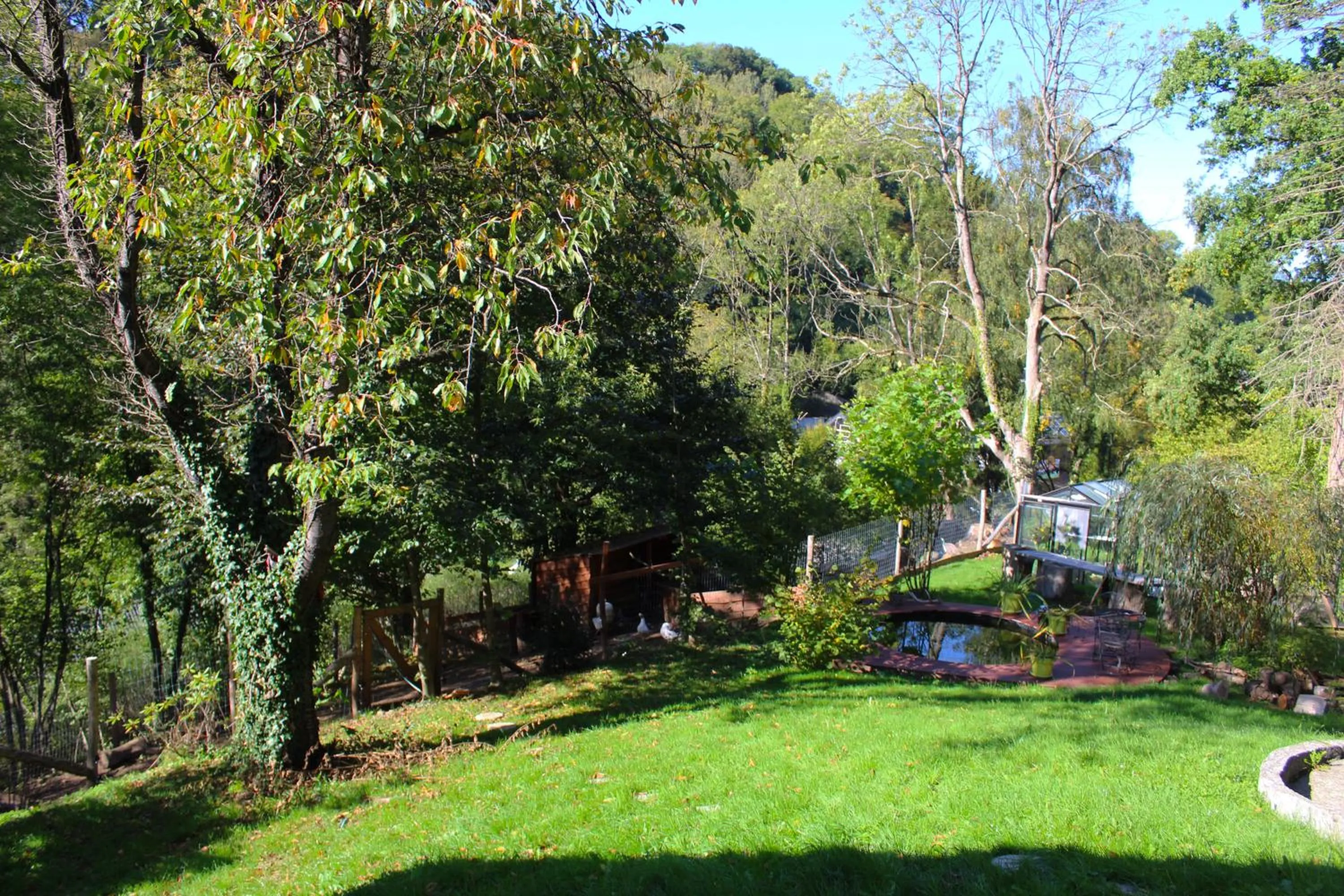 Garden in Chez Madame Irma