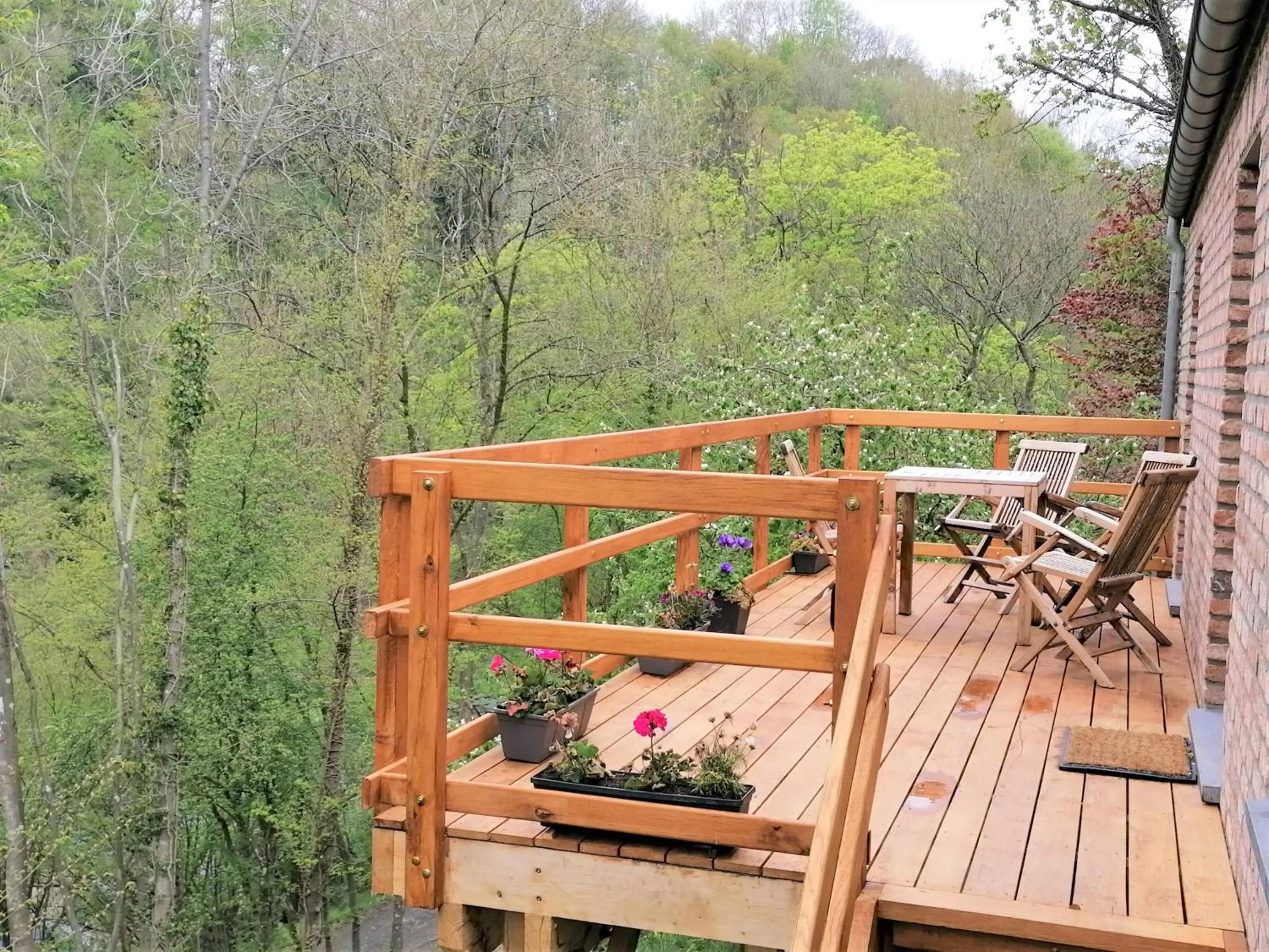 Garden in Chez Madame Irma