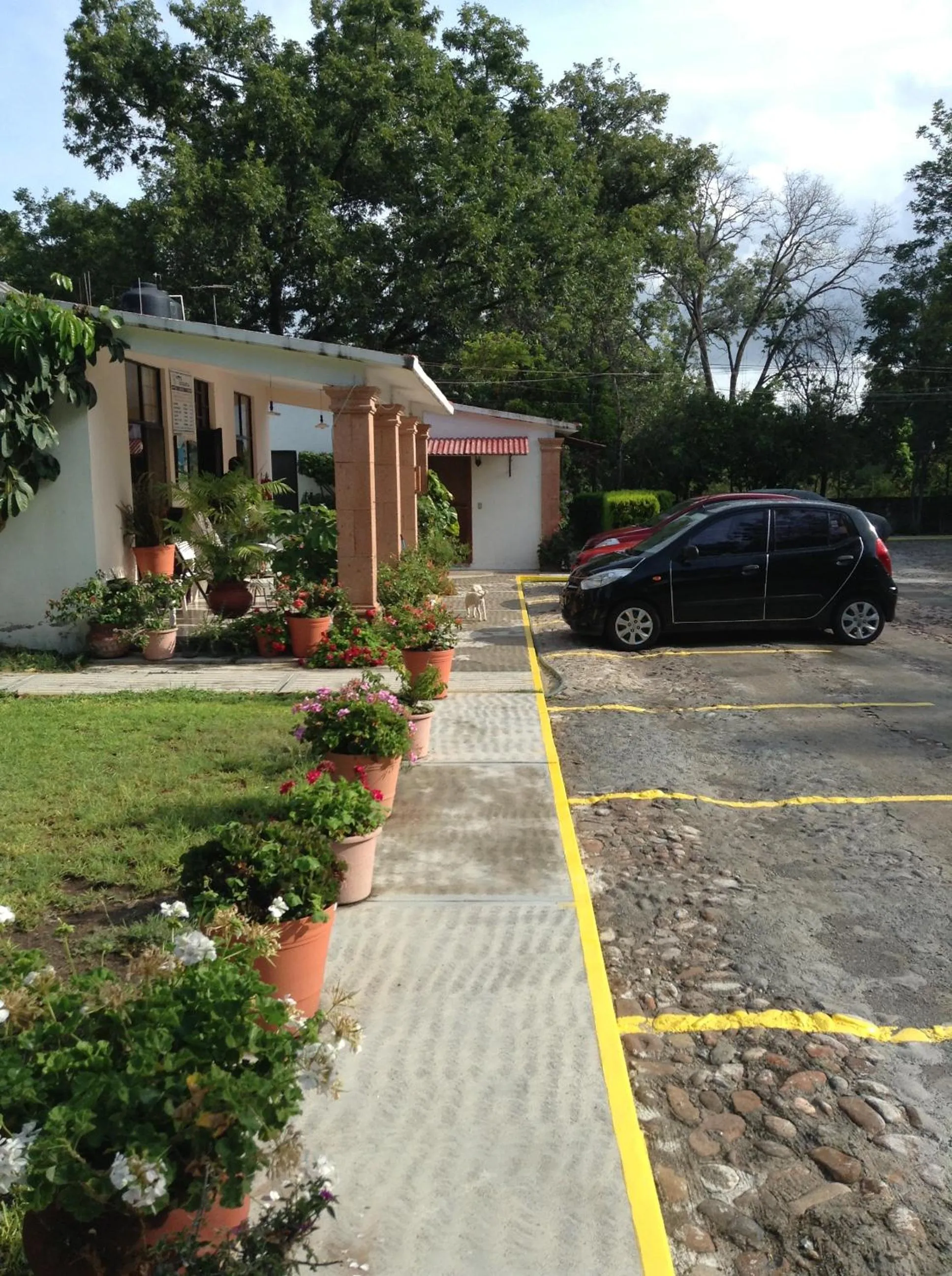 Area and facilities in Hotel Tecozautla