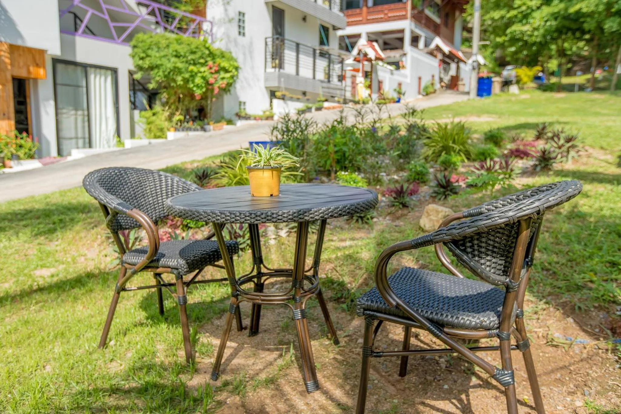Garden in Penthouse Crystal Bay Apartments